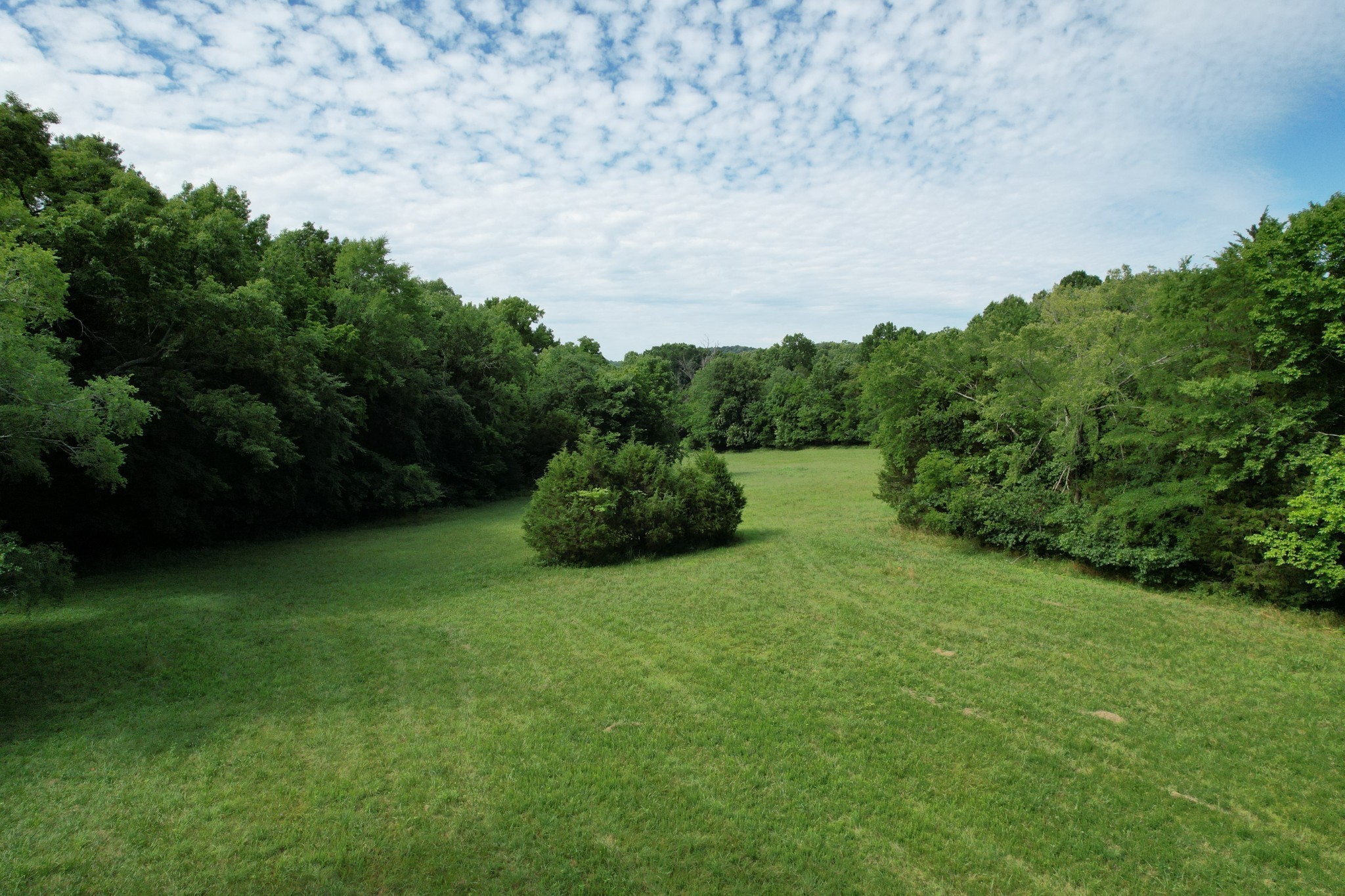 5012 Haven Hollow Pvt Lane Property Photo 10