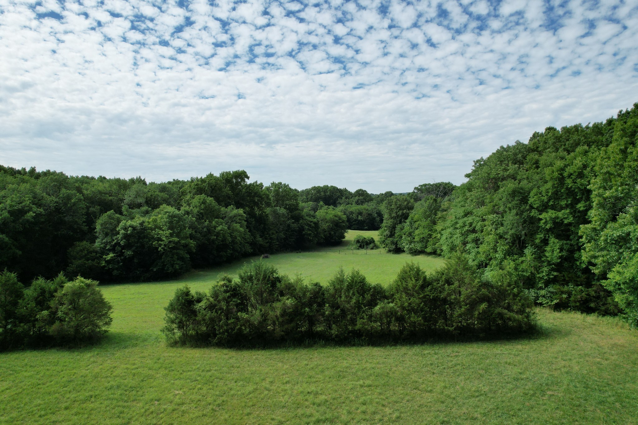 5012 Haven Hollow Pvt Lane Property Photo 11