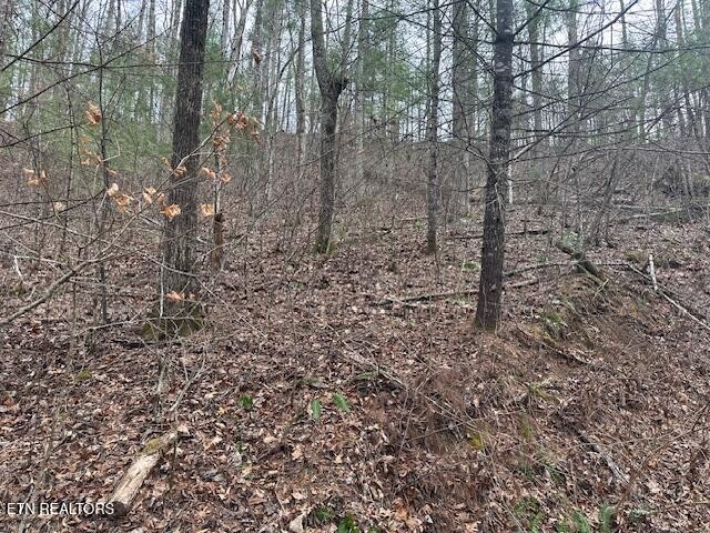 815 Tanasi Tr Property Photo 1