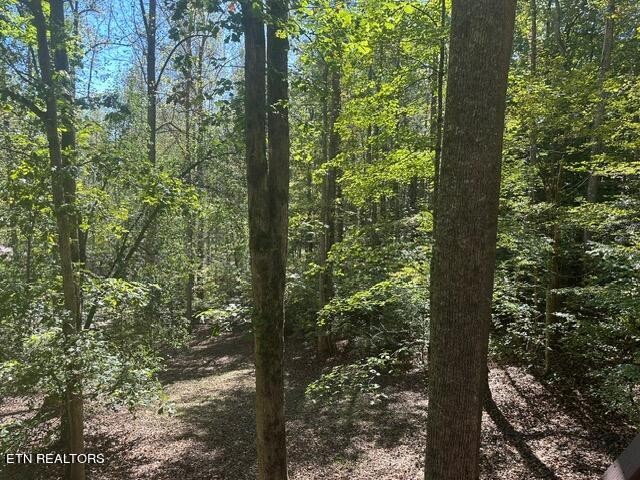230 Penni Lane Property Photo 22