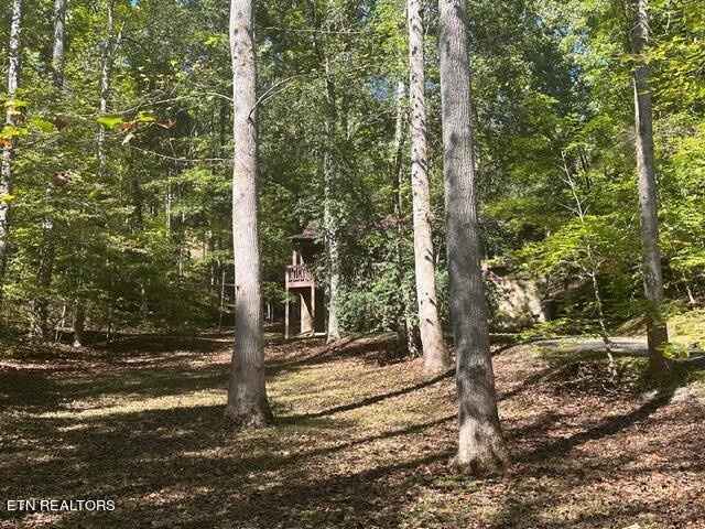 230 Penni Lane Property Photo 23