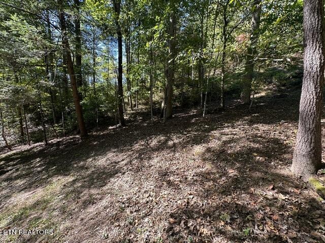 230 Penni Lane Property Photo 24