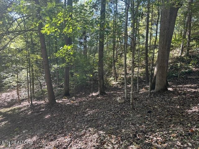 230 Penni Lane Property Photo 30