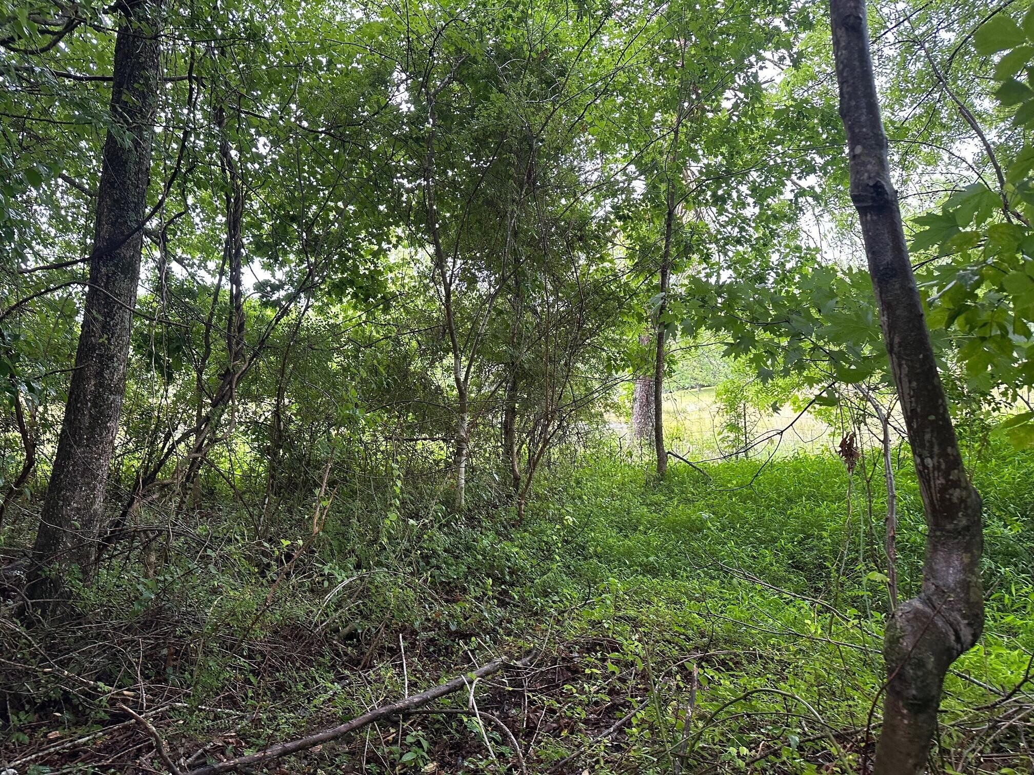 7 Saw Mill Road Property Photo 1