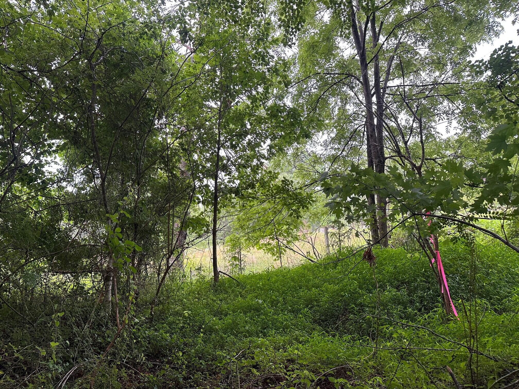 7 Saw Mill Road Property Photo 3