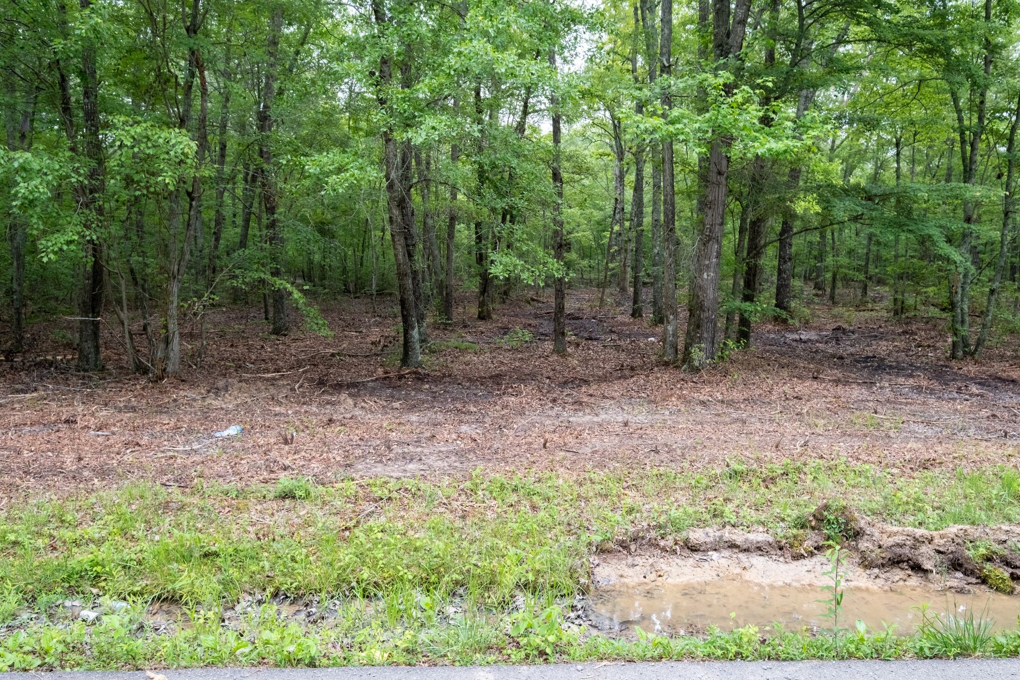 0 Pepper Rd Property Photo 1
