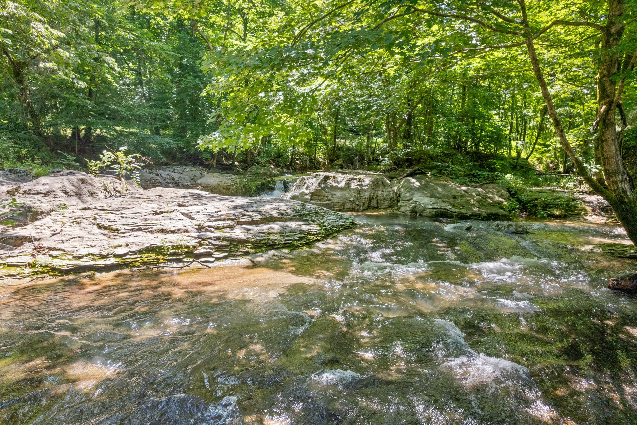 1 Bryant Hollow Rd Property Photo 6