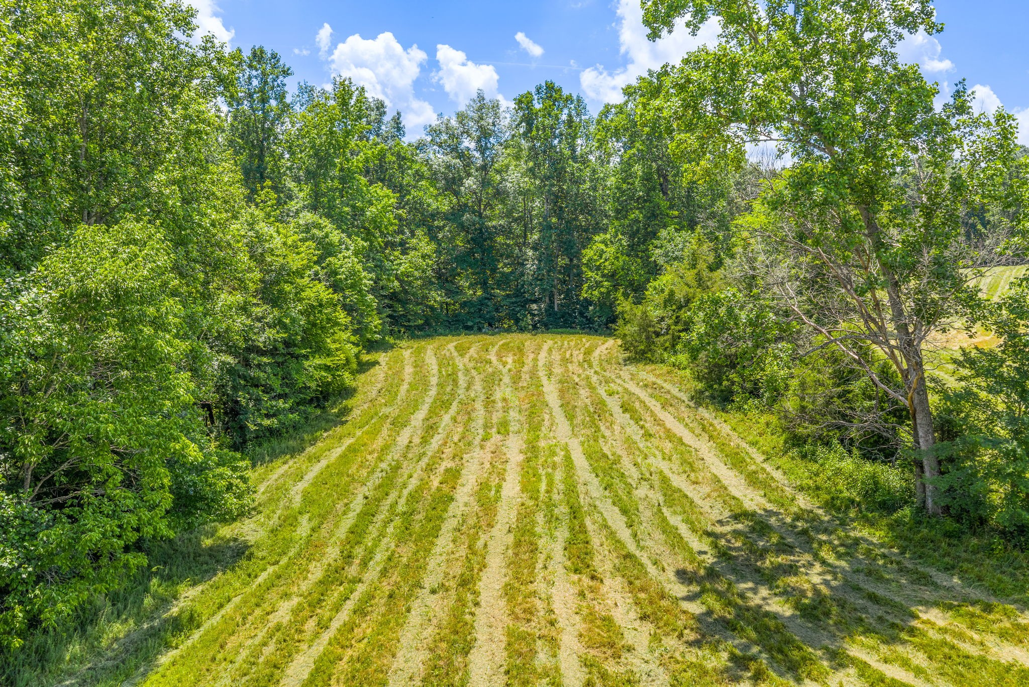 1 Bryant Hollow Rd Property Photo 11