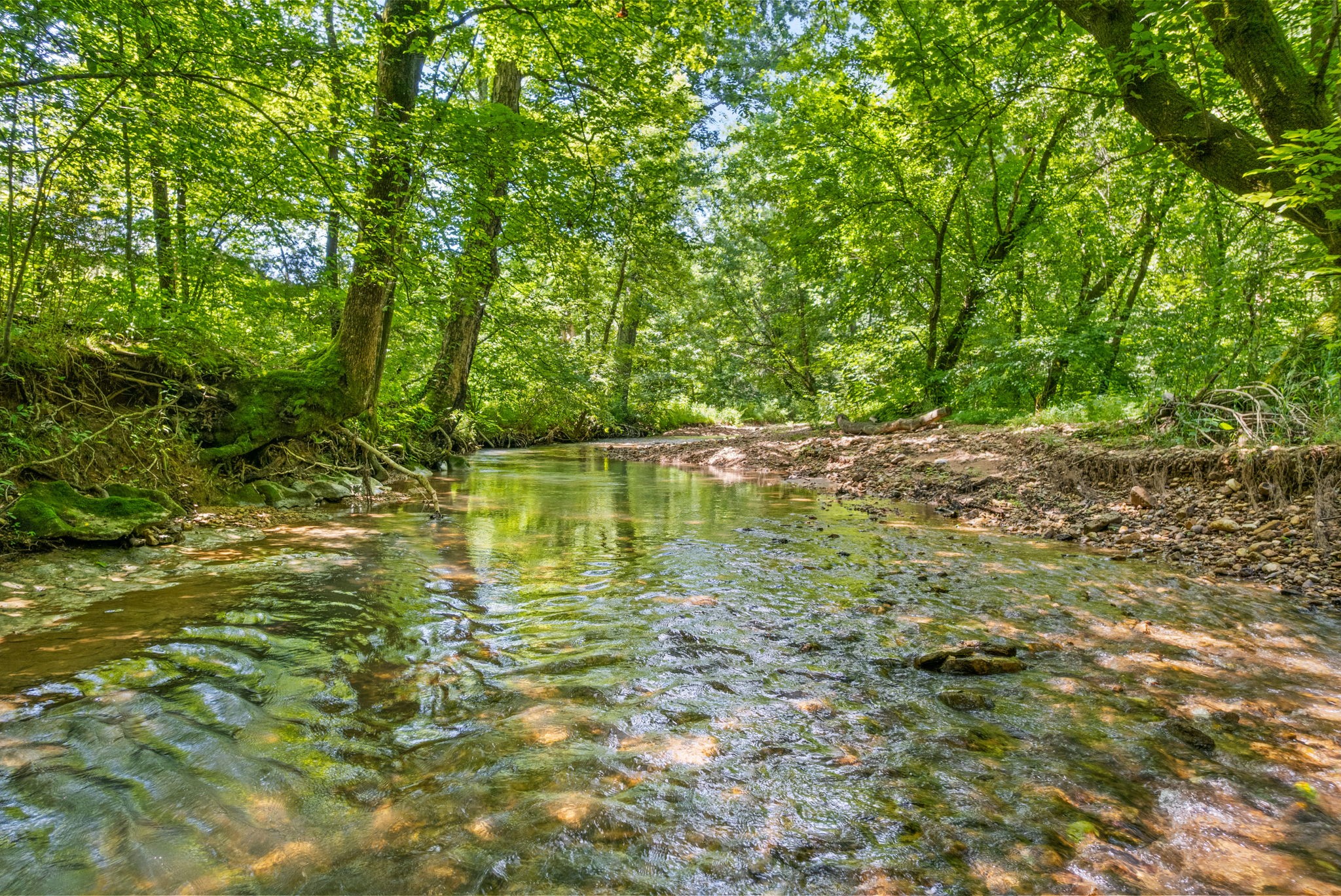 1 Bryant Hollow Rd Property Photo 14