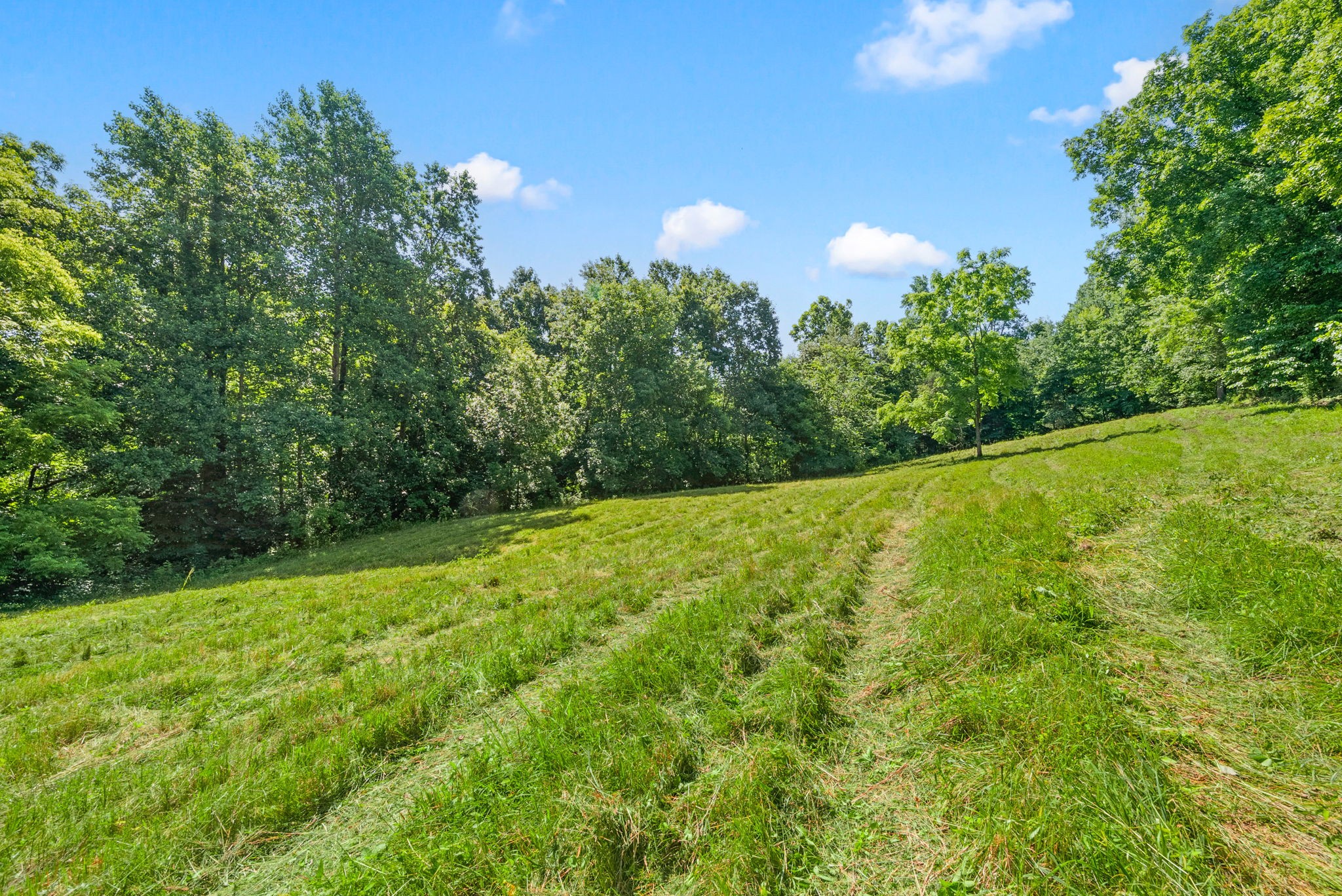 1 Bryant Hollow Rd Property Photo 29