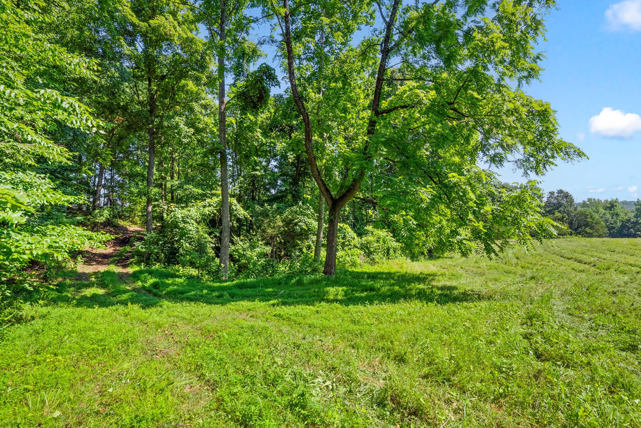 1 Bryant Hollow Rd Property Photo 54