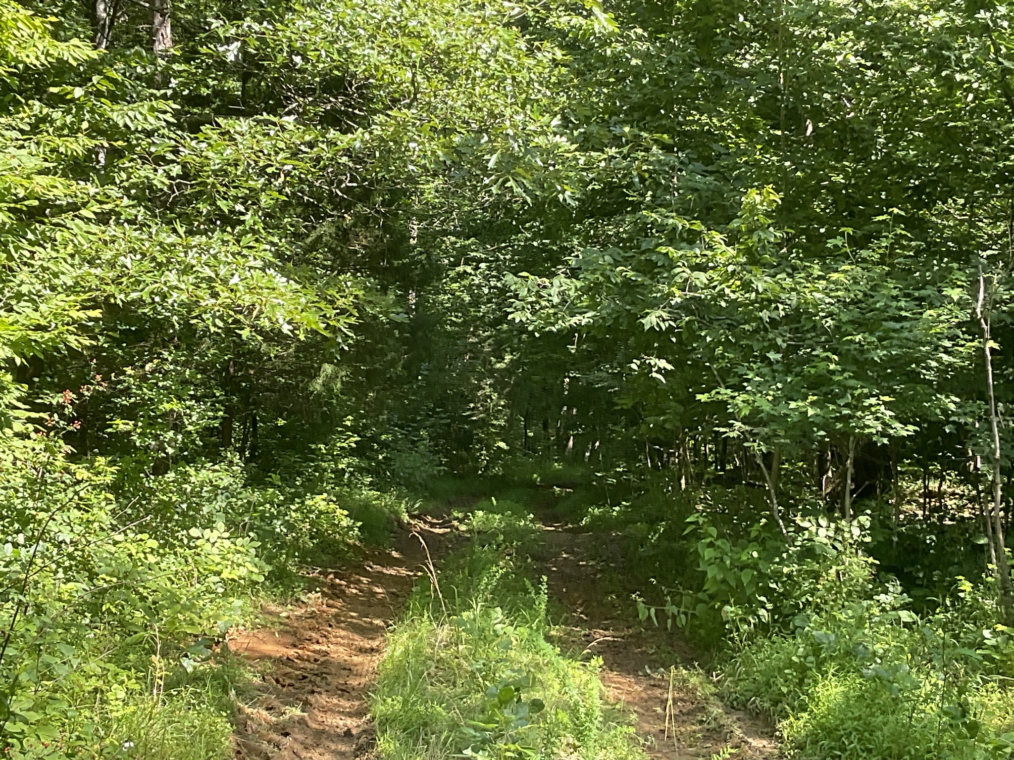 1 Bryant Hollow Rd Property Photo 59