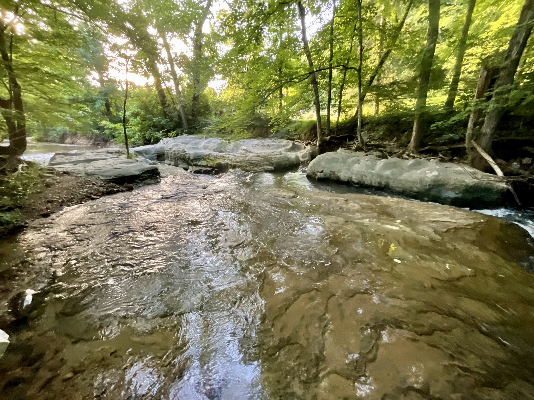 1 Bryant Hollow Rd Property Photo 80