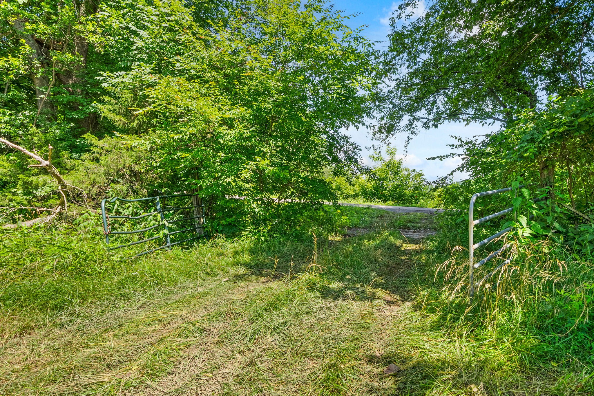 1 Bryant Hollow Rd Property Photo 99