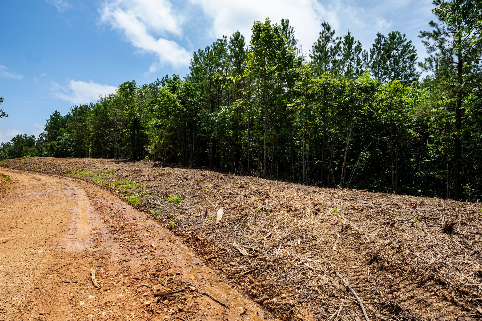 0 Old Mail Road Property Photo 4