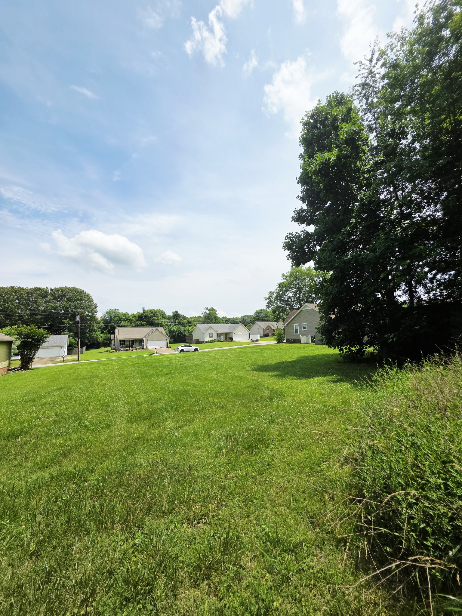 368 Buttonwood Dr Property Photo 3