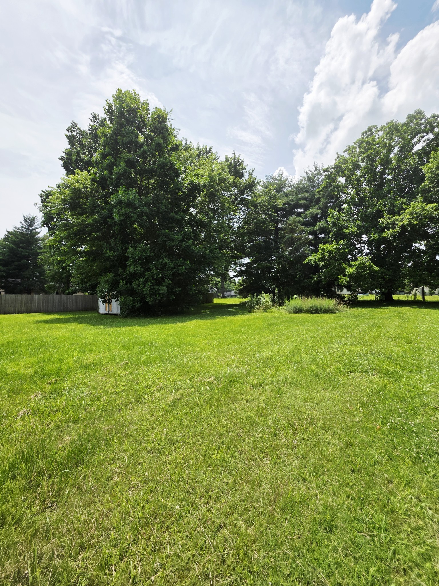 368 Buttonwood Dr Property Photo 4