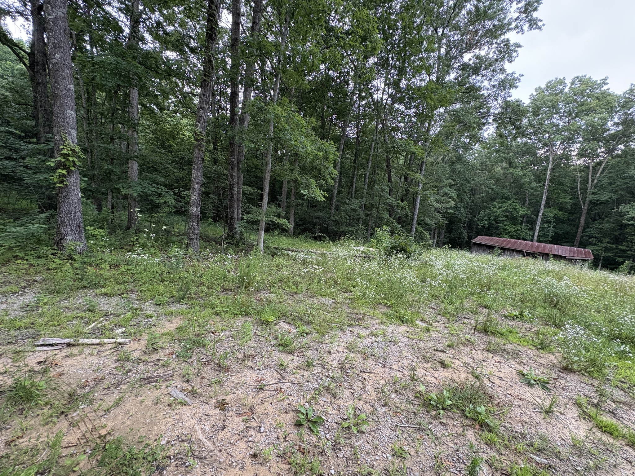 1117 Deer Run Property Photo 1