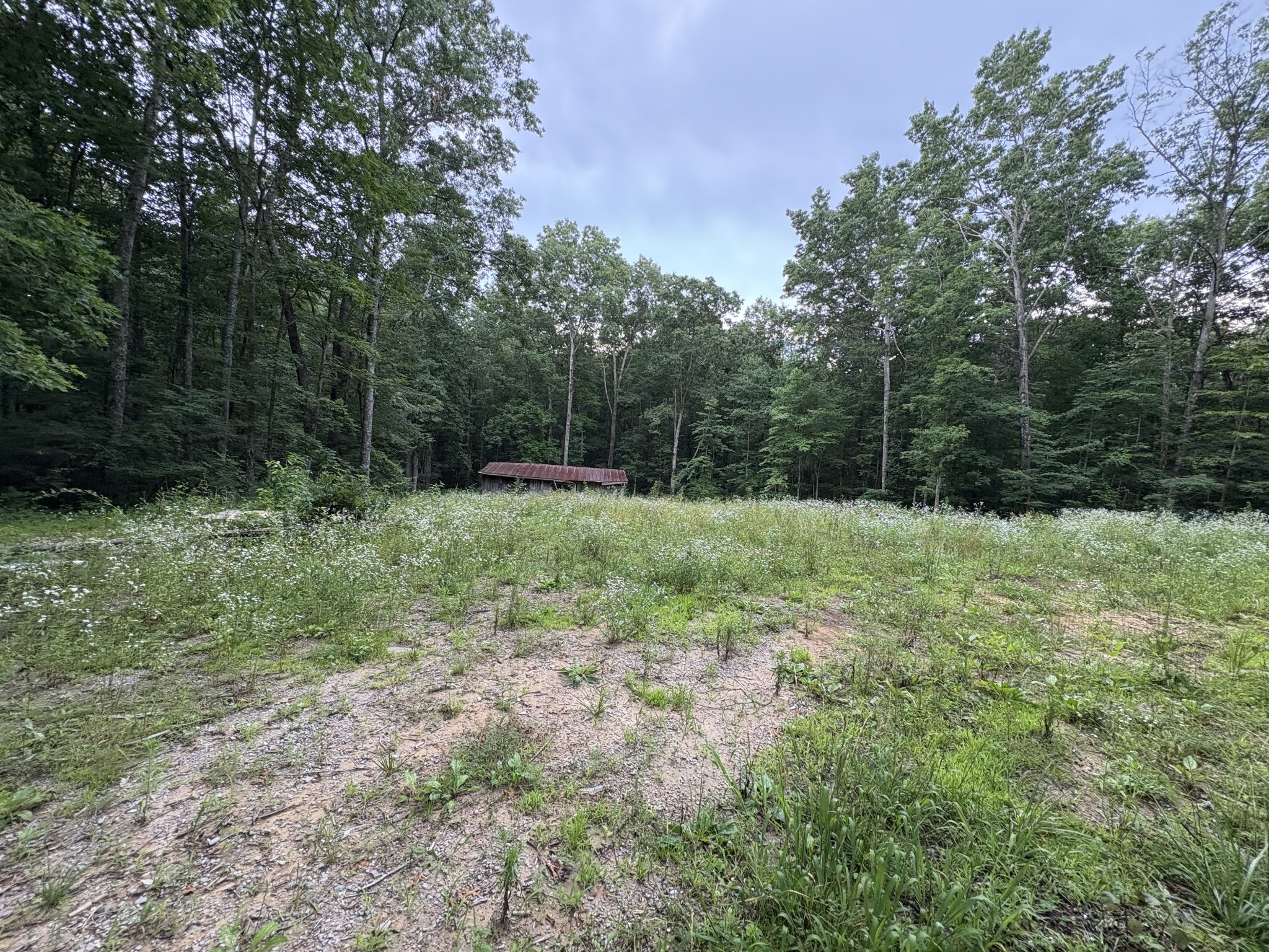 1117 Deer Run Property Photo 2