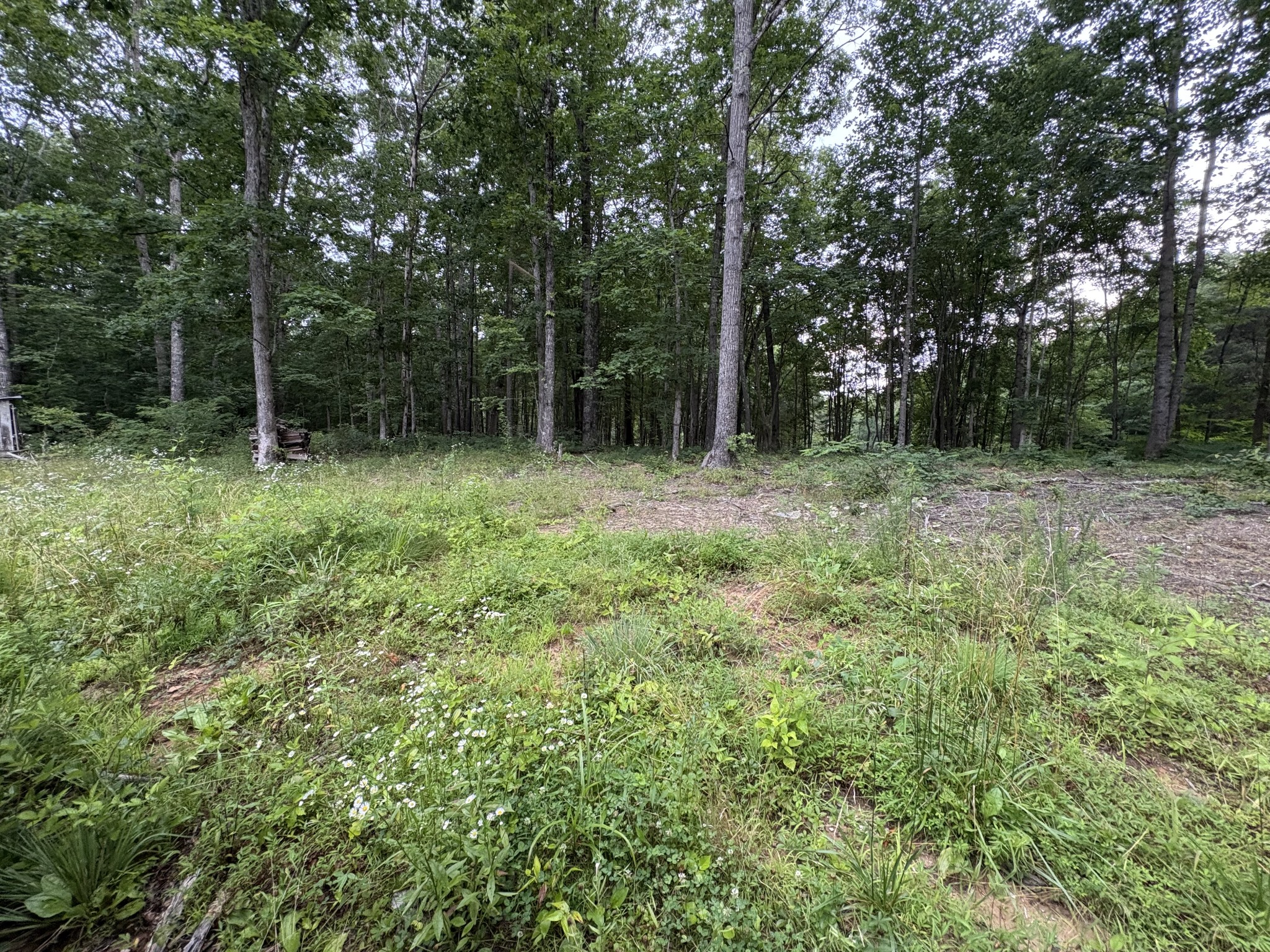 1117 Deer Run Property Photo 3
