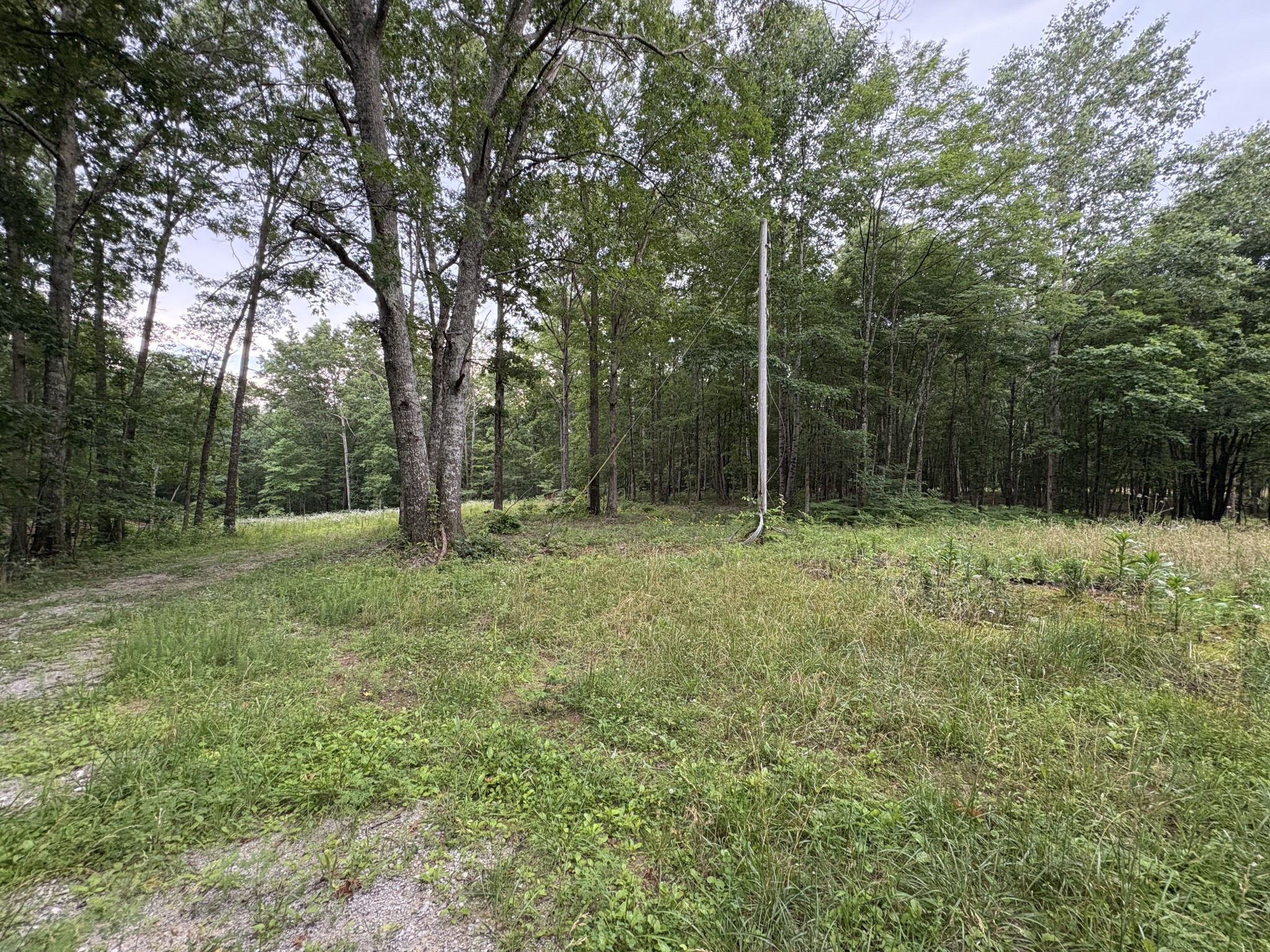1117 Deer Run Property Photo 4