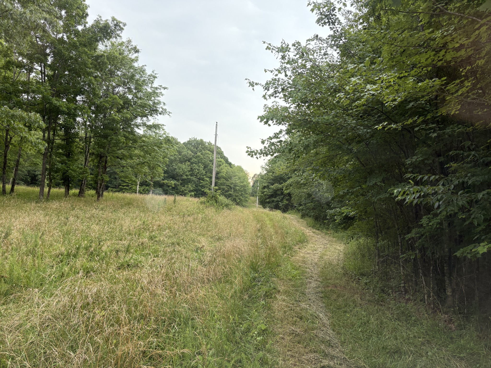 1117 Deer Run Property Photo 5