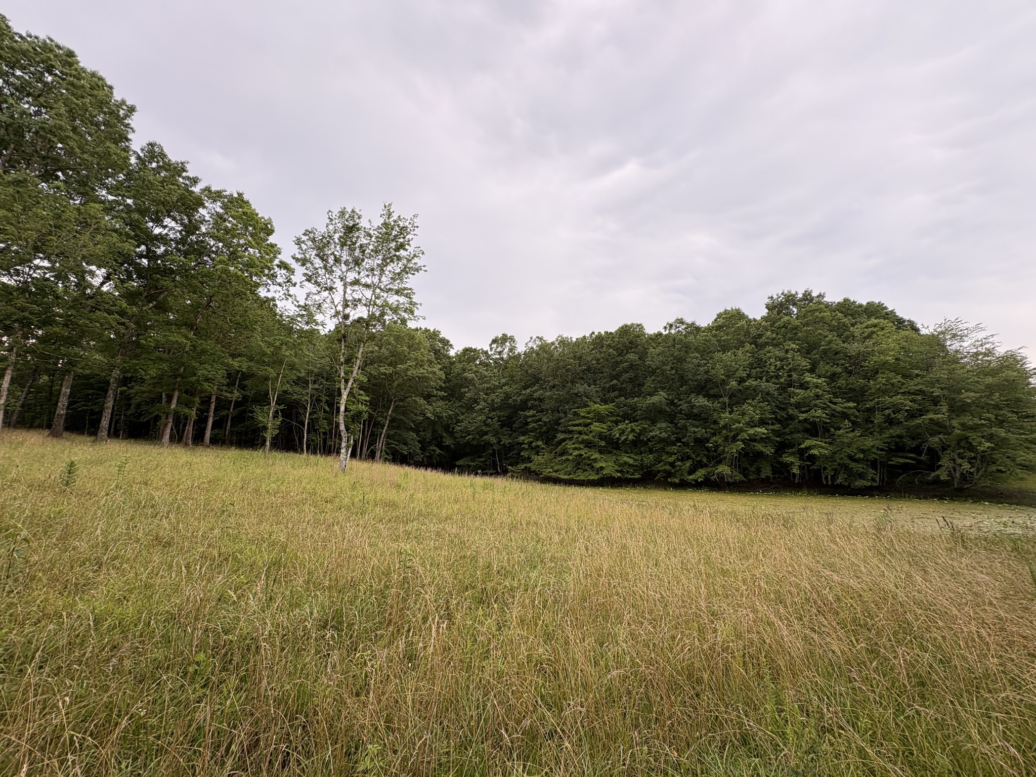 1117 Deer Run Property Photo 6