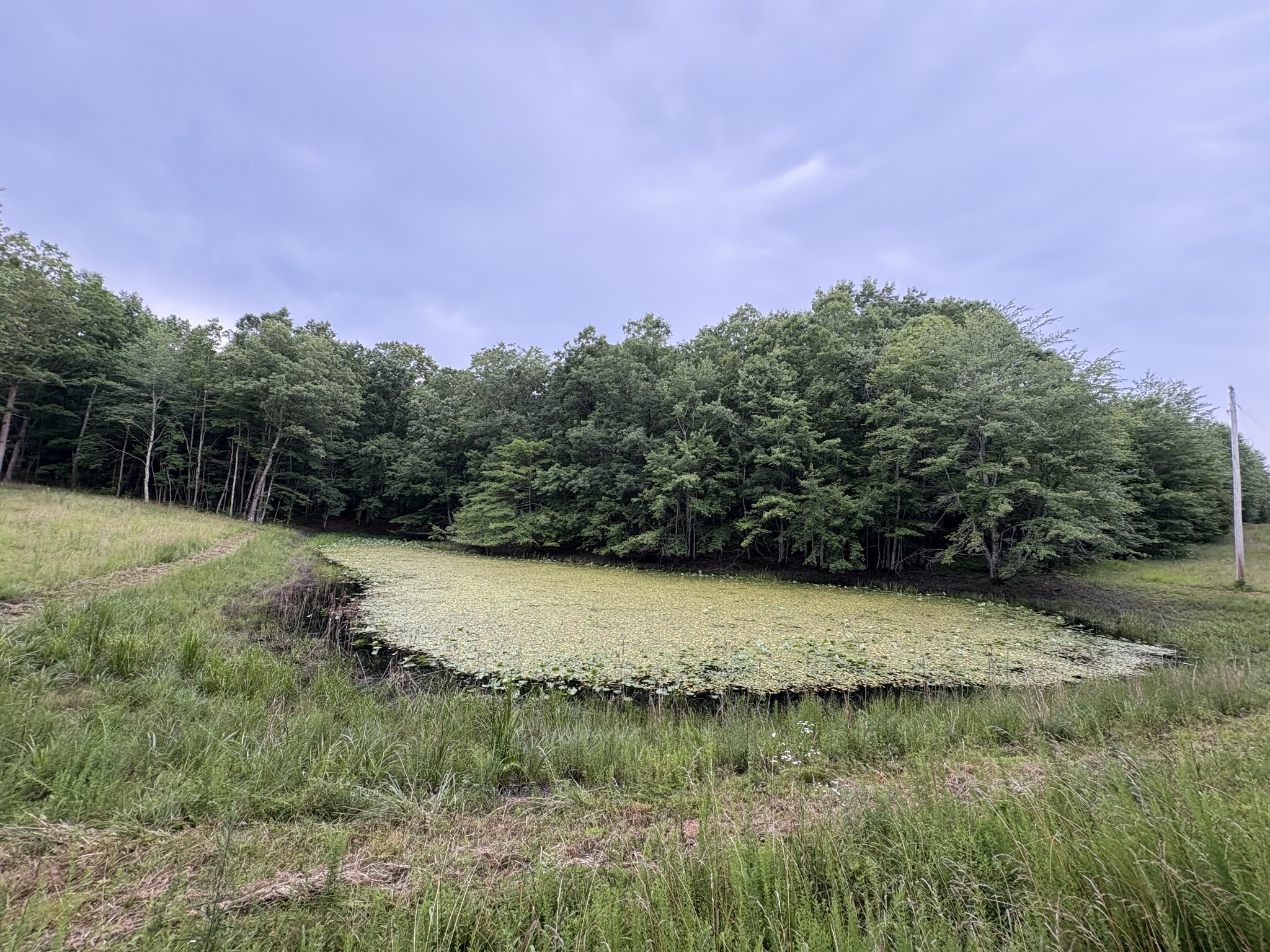 1117 Deer Run Property Photo 7