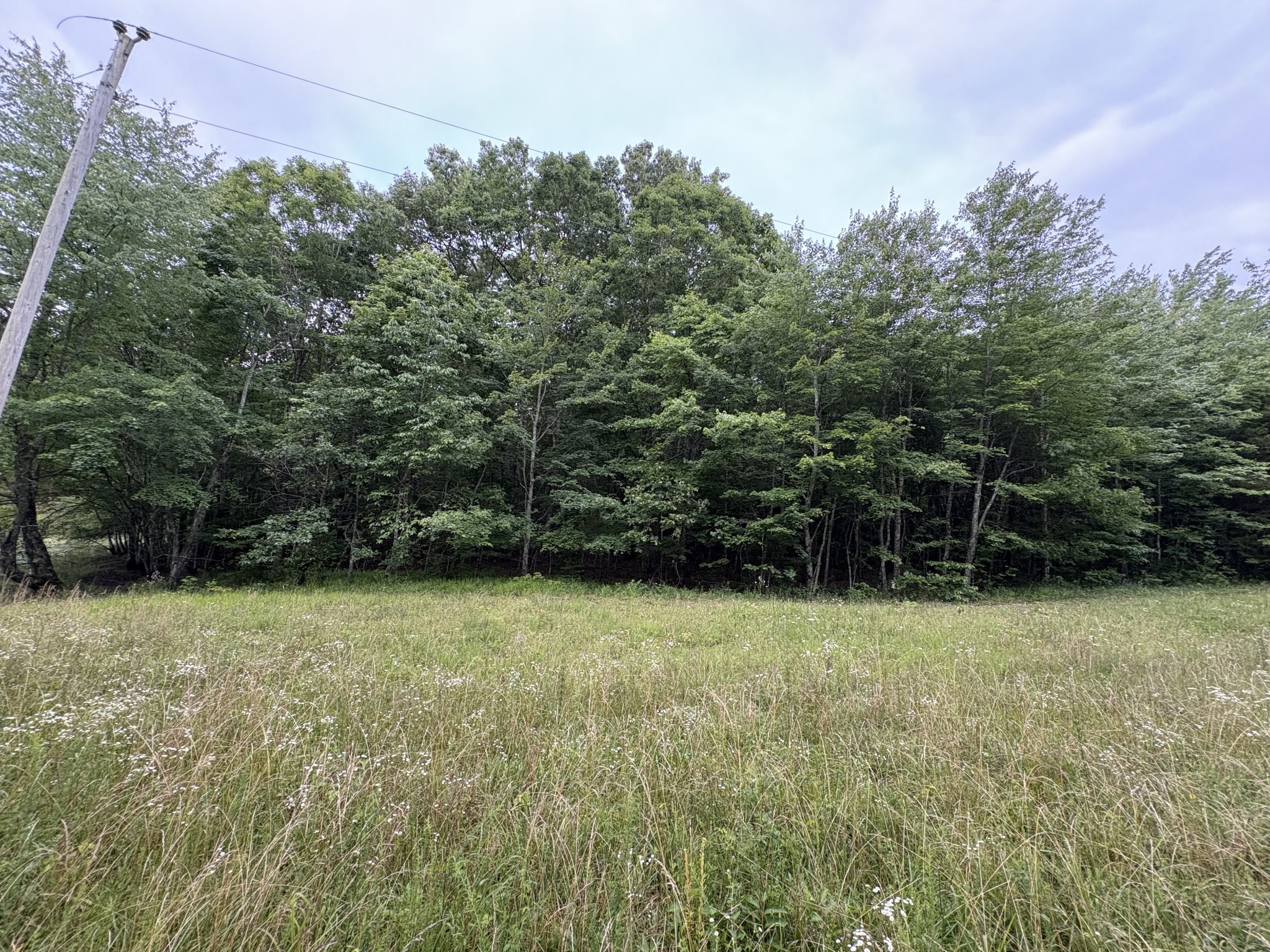 1117 Deer Run Property Photo 8