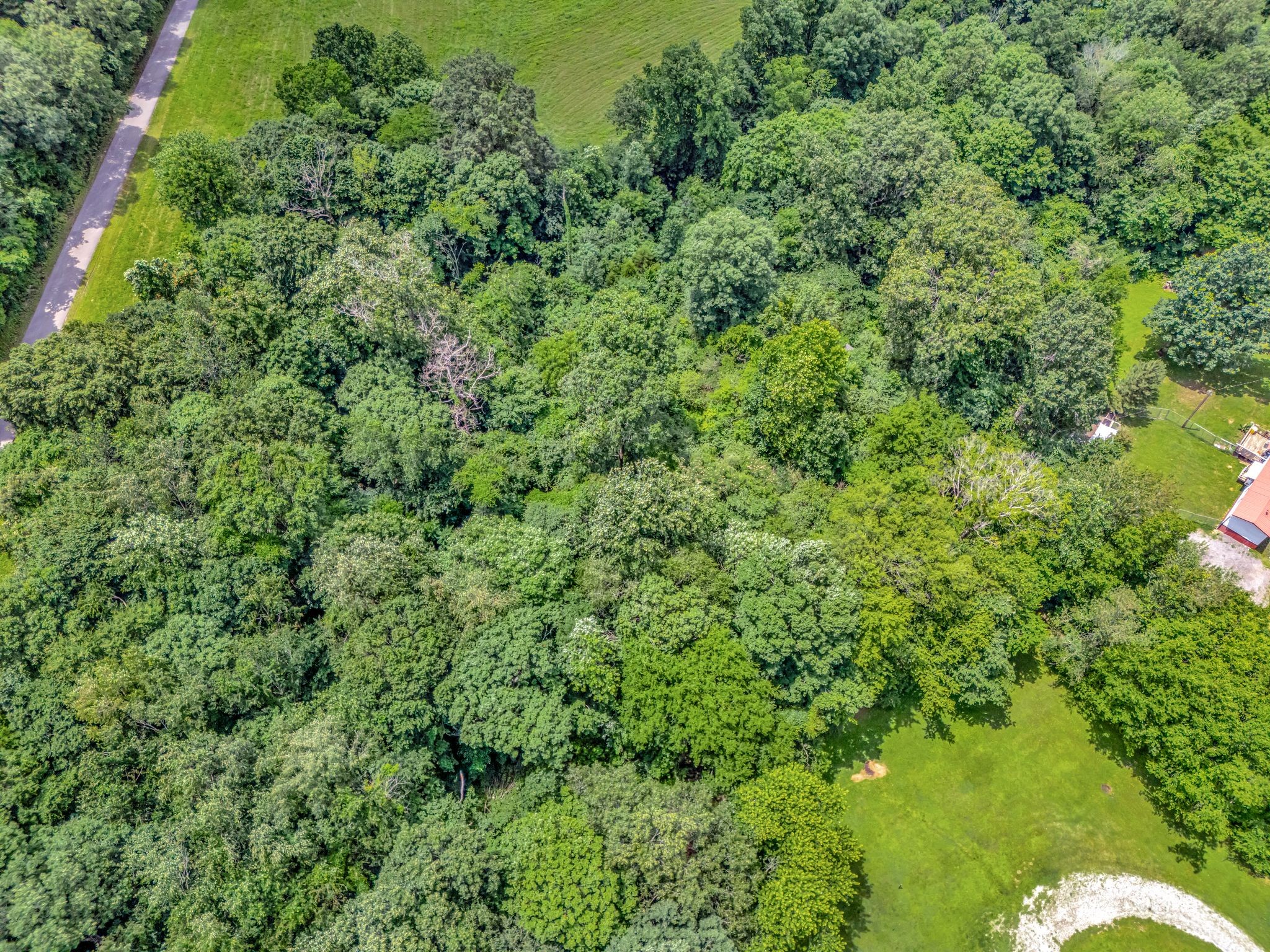 1152 Mcclure Rd Property Photo 8