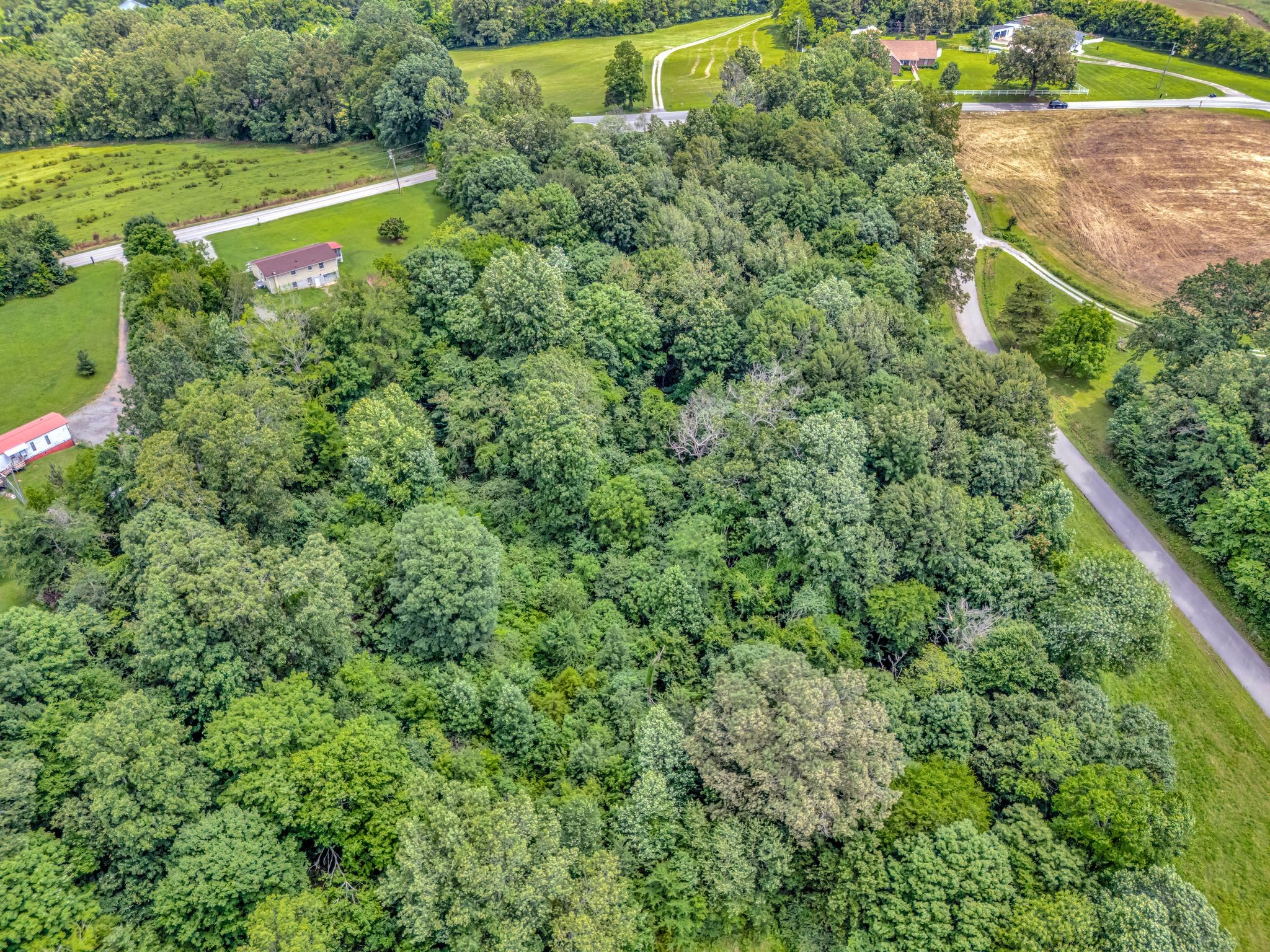 1152 Mcclure Rd Property Photo 14