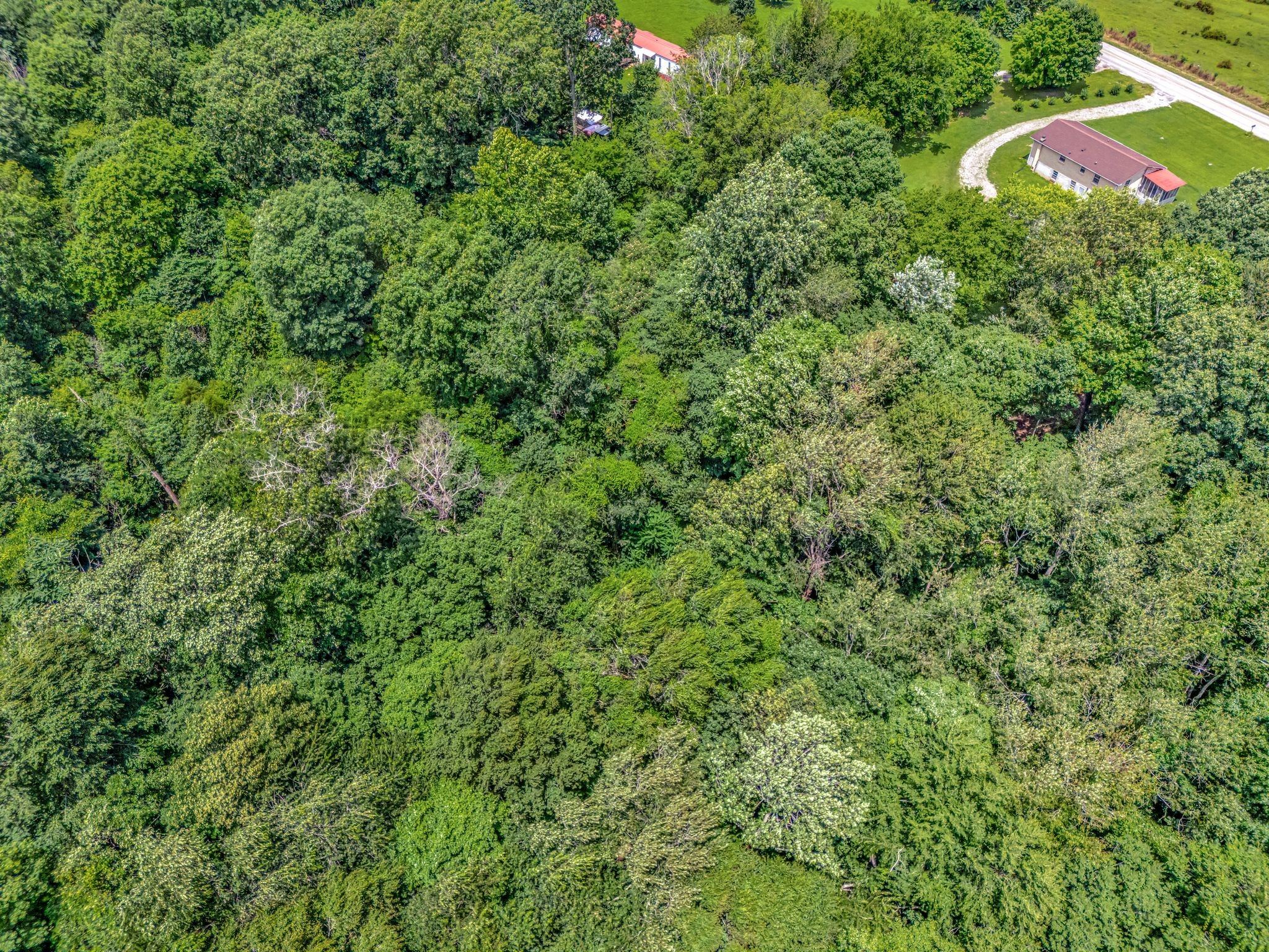 1152 Mcclure Rd Property Photo 16
