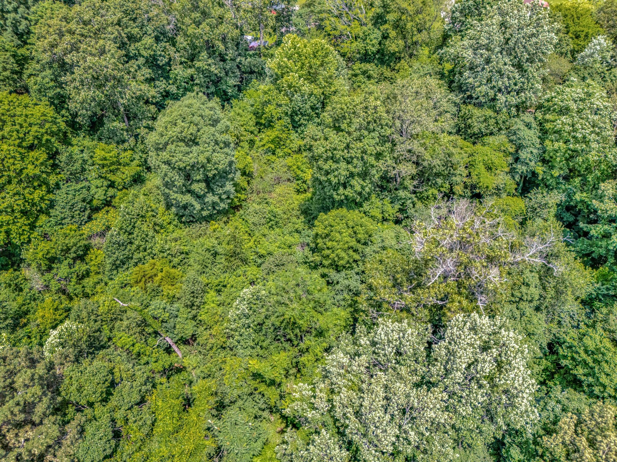 1152 Mcclure Rd Property Photo 18