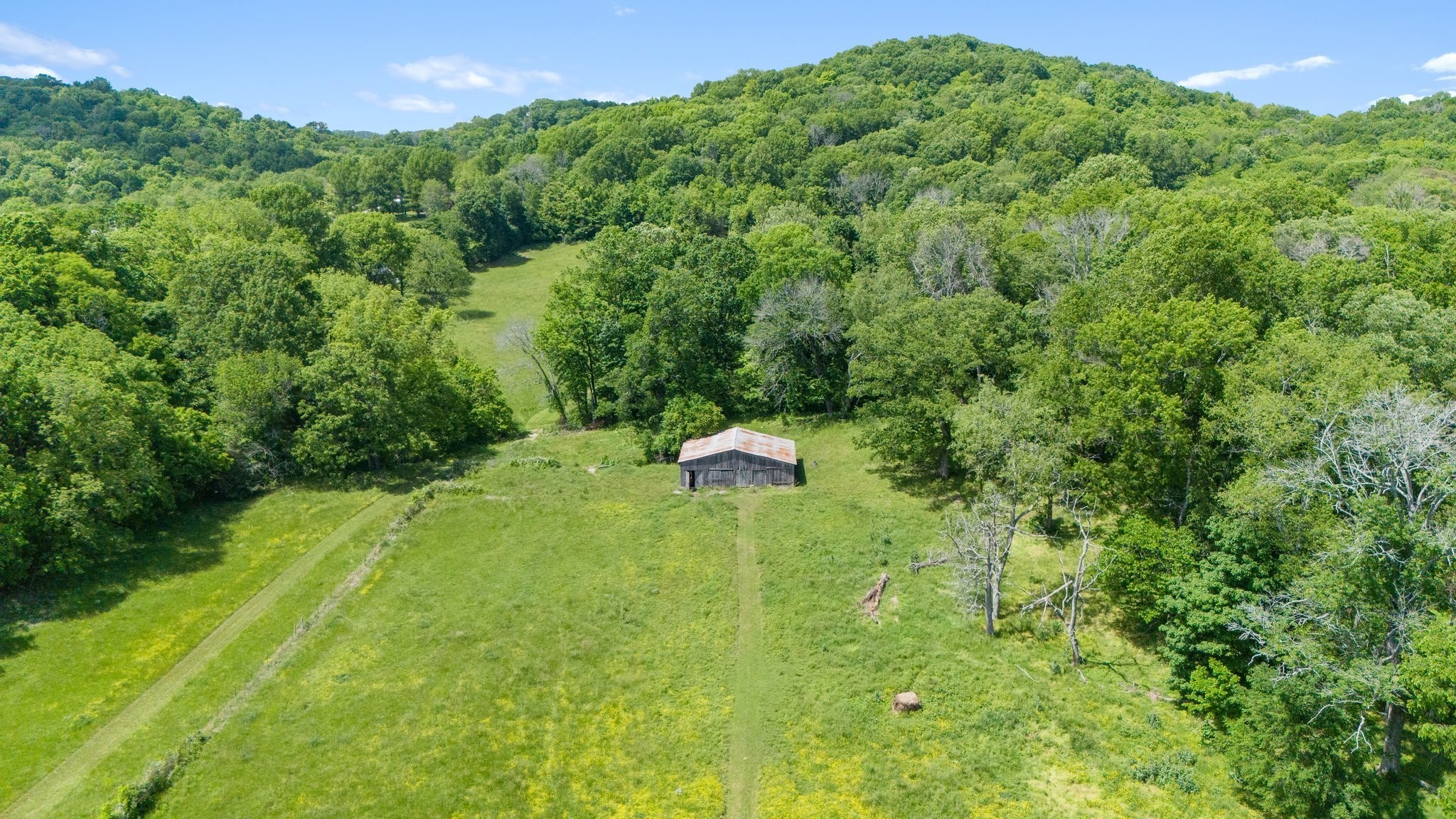 4786 Harpeth Peytonsville Rd Property Photo 5
