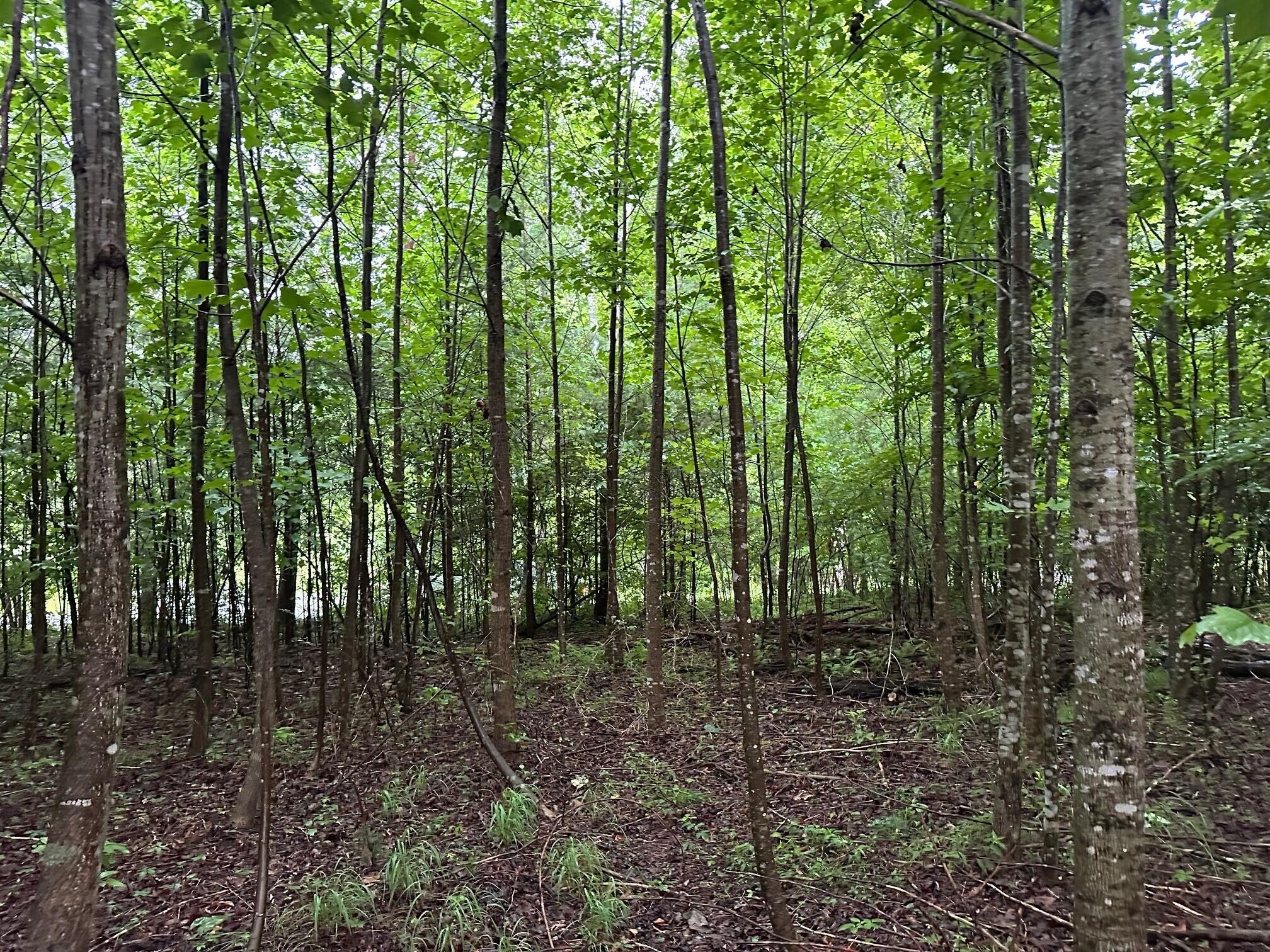 8 Saw Mill Road Property Photo 1