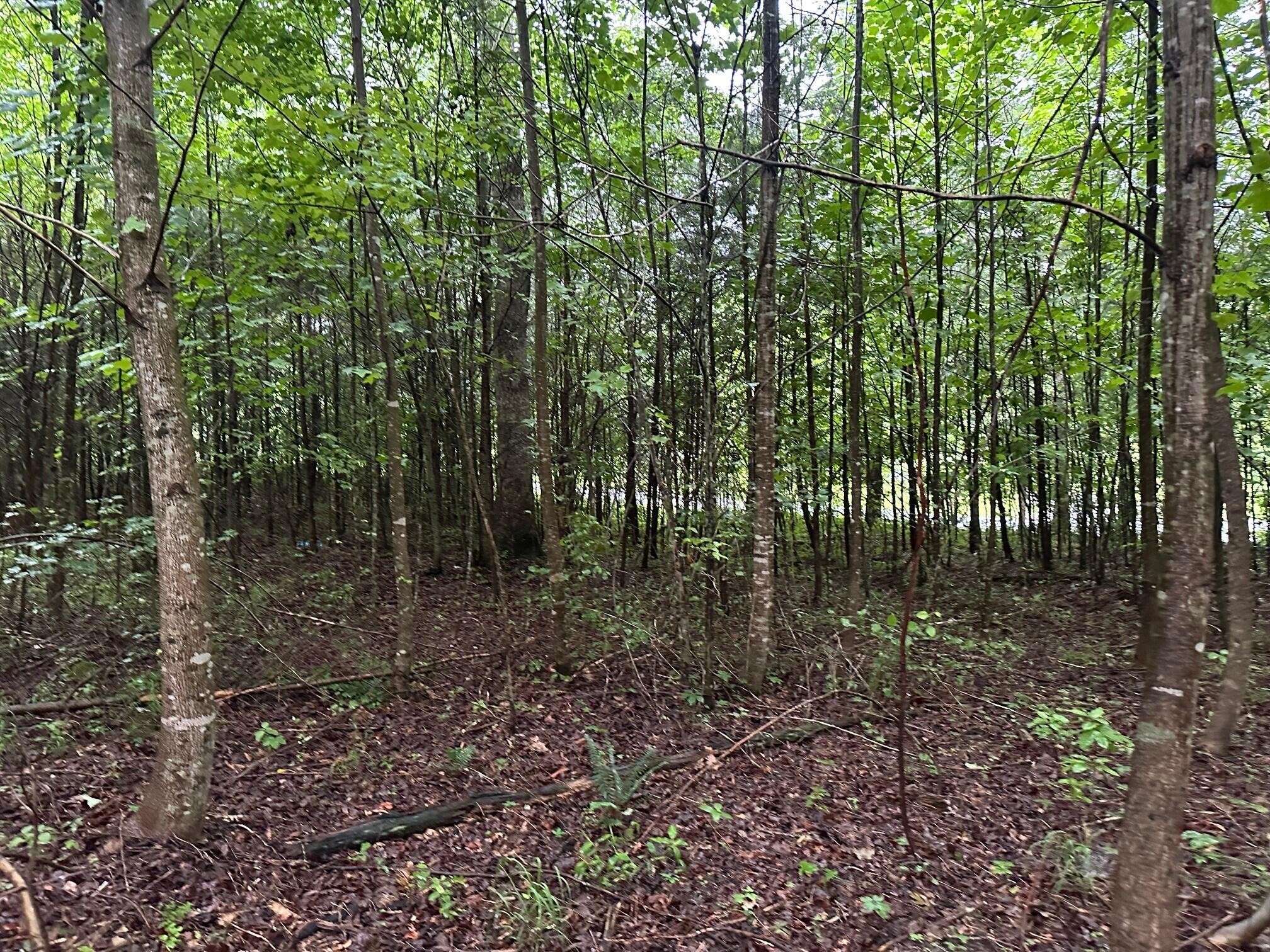 8 Saw Mill Road Property Photo 2