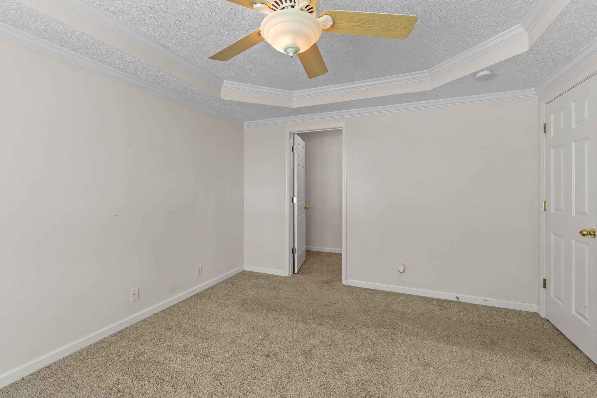 413 Ashby Pl Property Photo 14