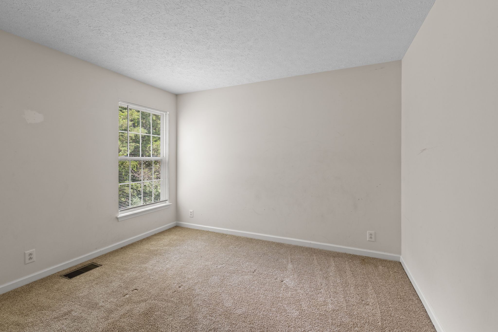 413 Ashby Pl Property Photo 18