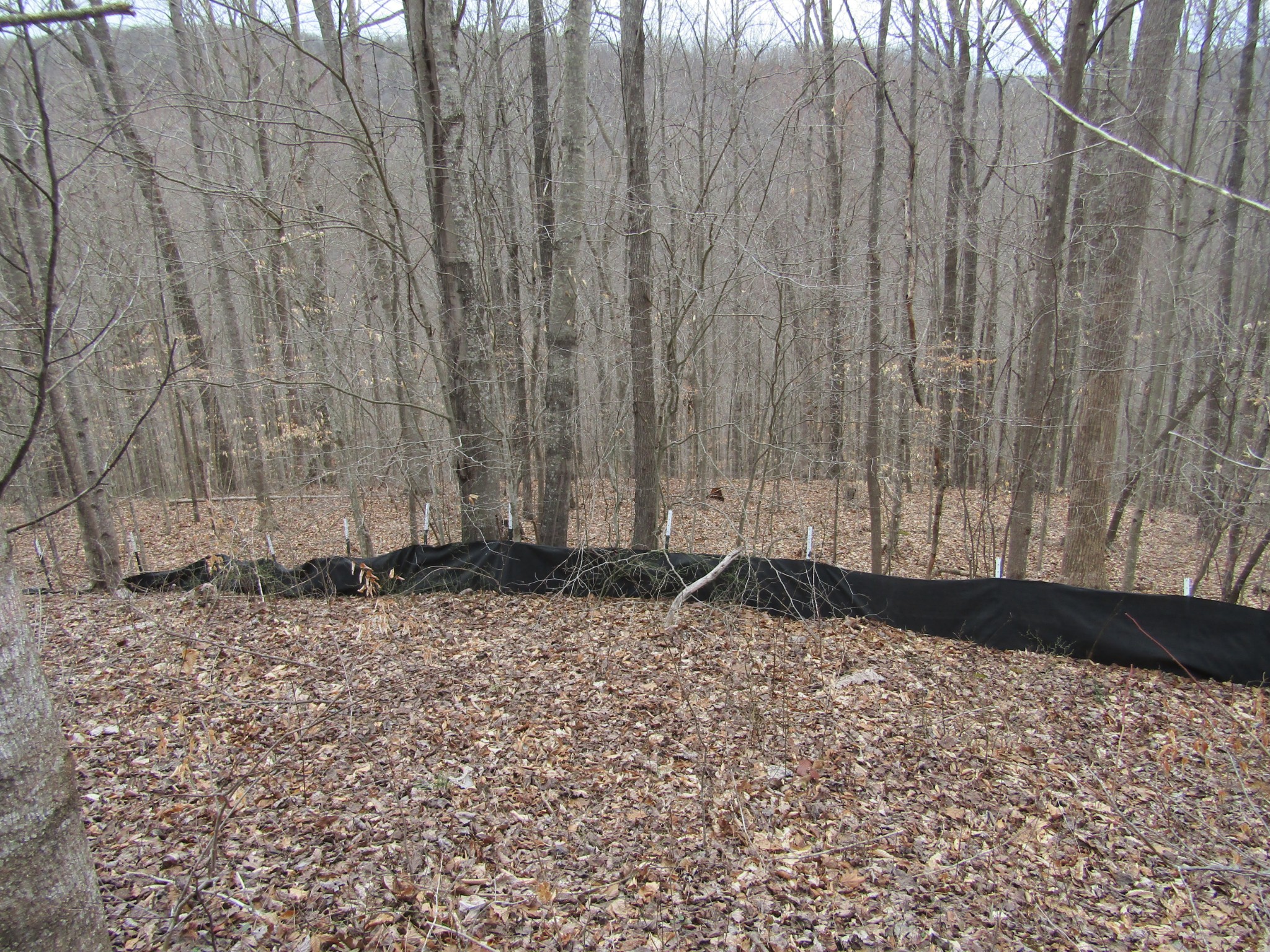 0 Bobcat Lane Property Photo 1