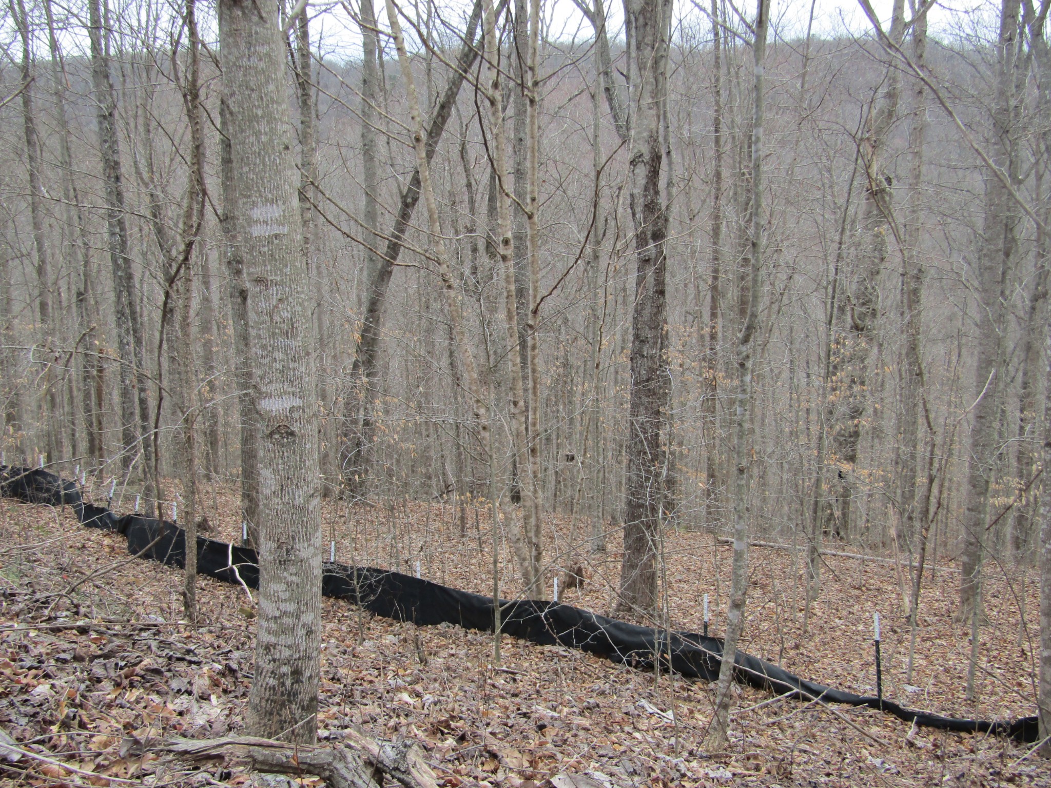 0 Bobcat Lane Property Photo 7