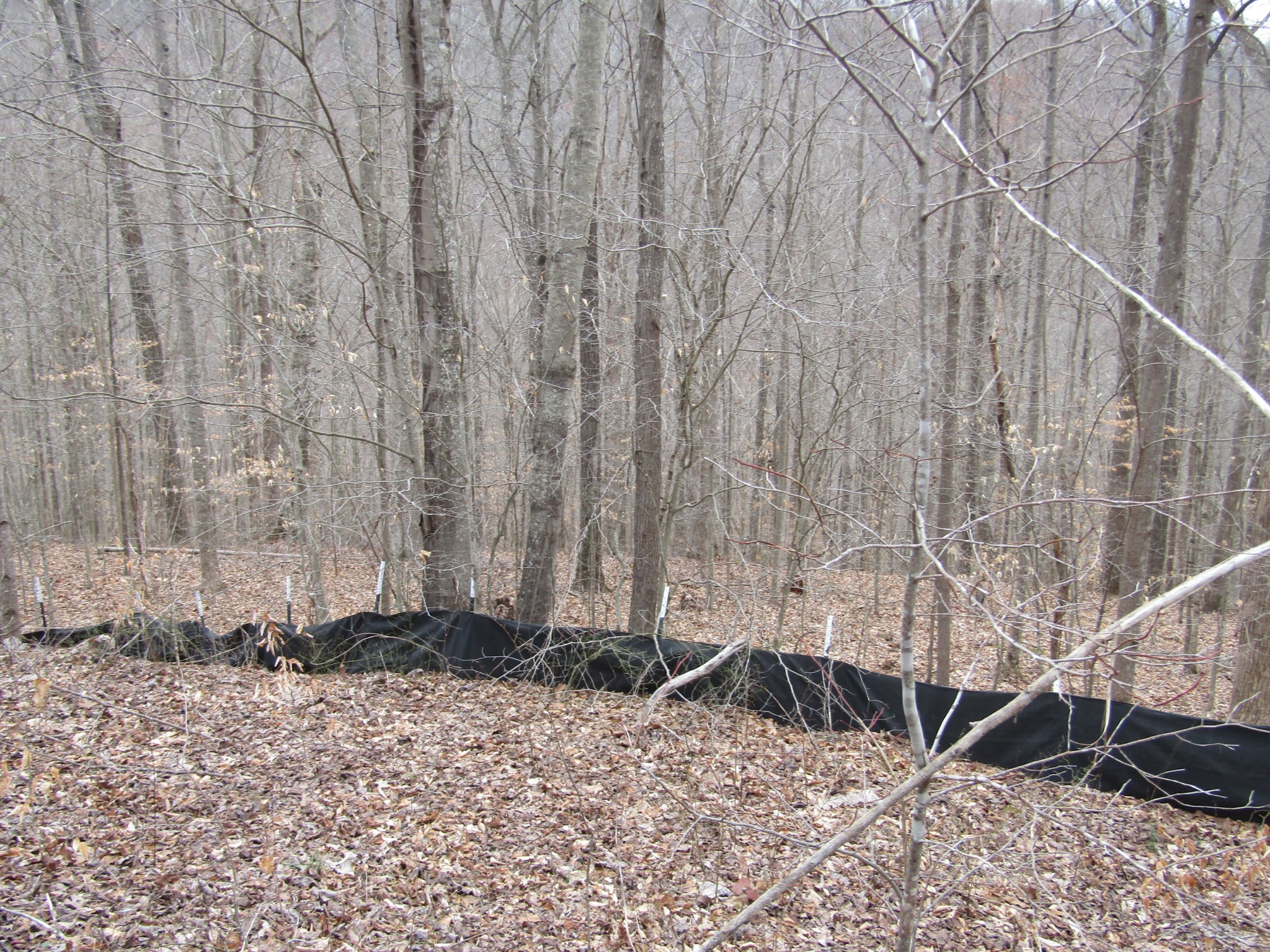 0 Bobcat Lane Property Photo 9