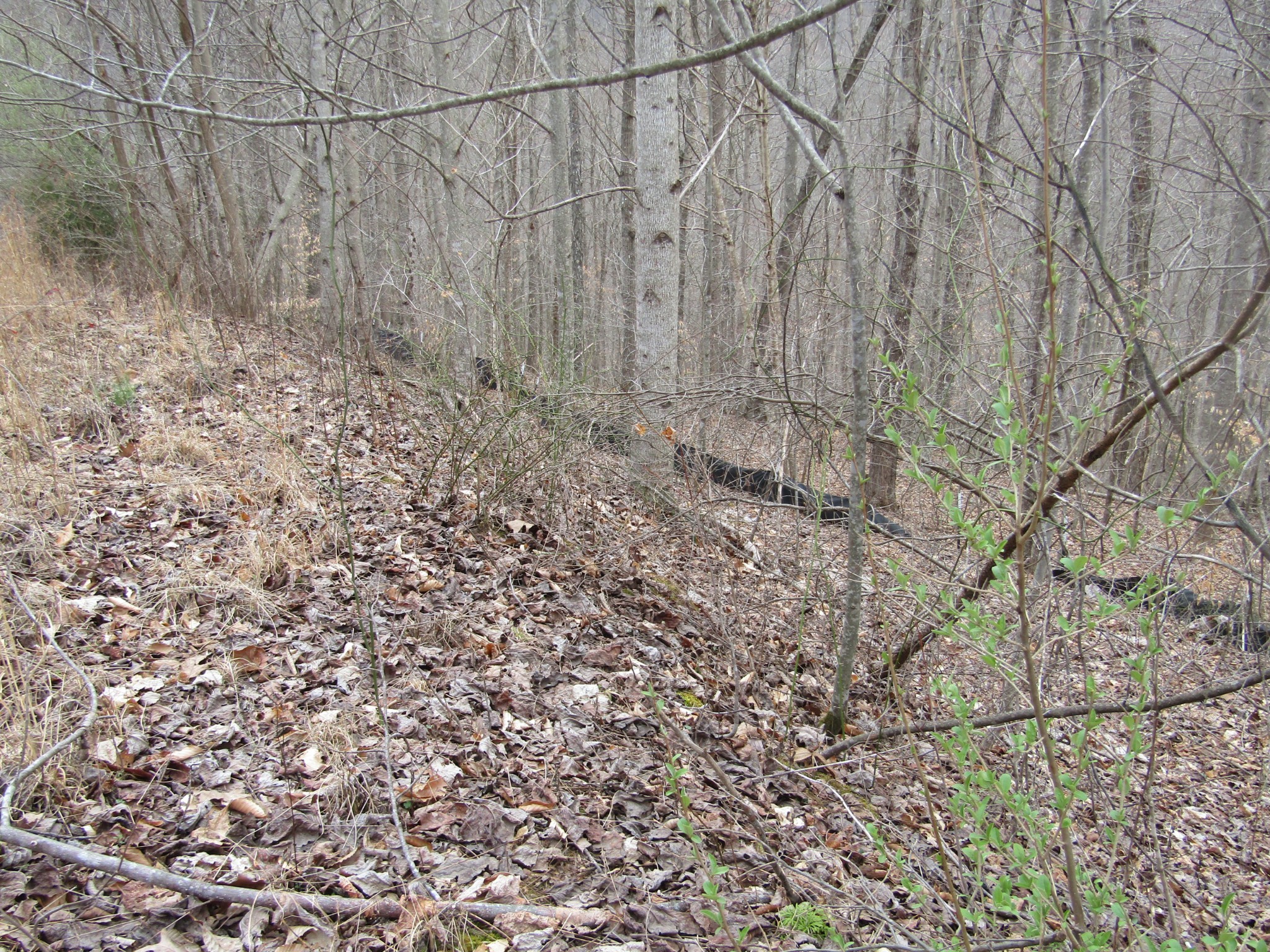 0 Bobcat Lane Property Photo 10