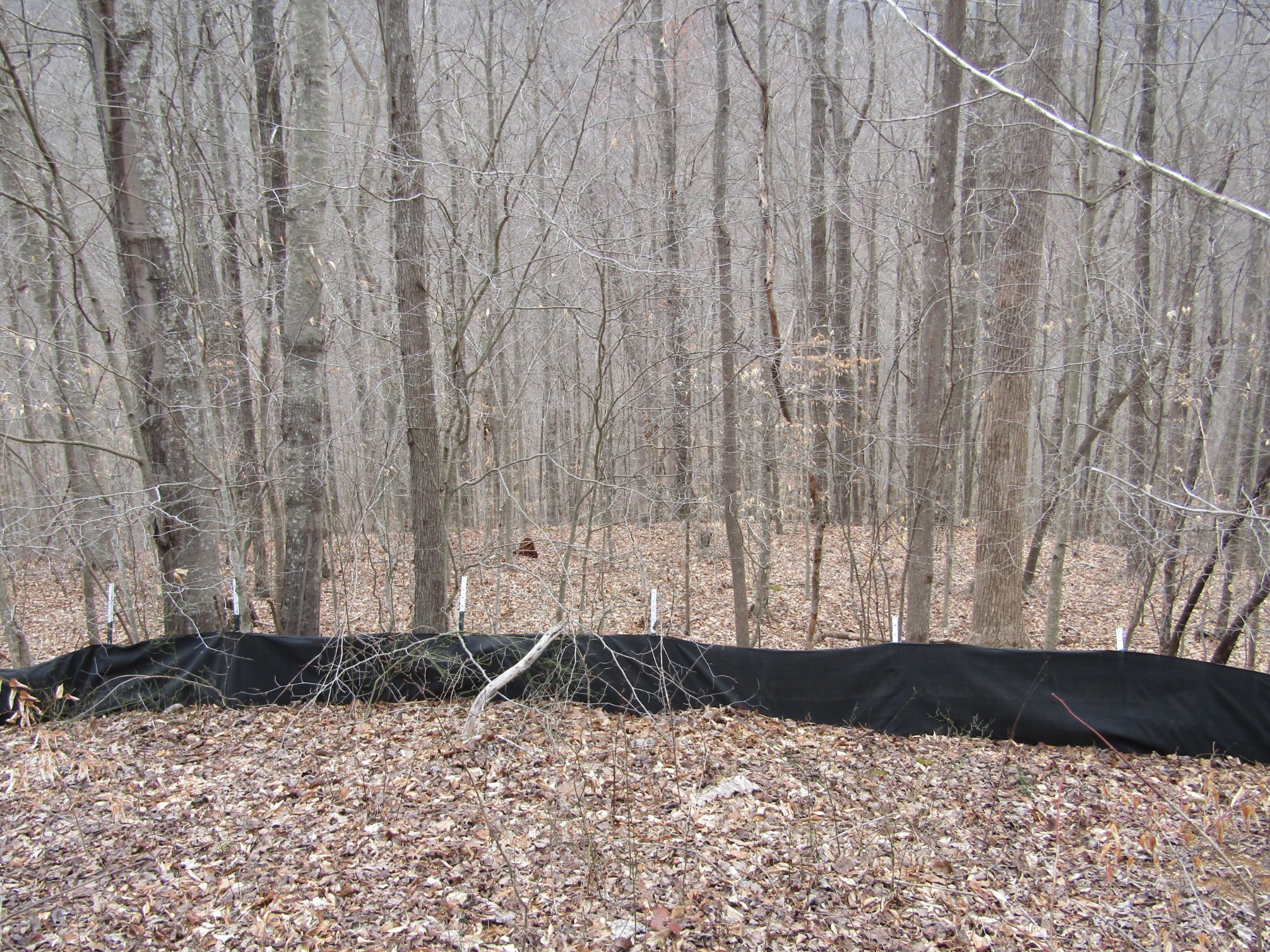 0 Bobcat Lane Property Photo 11