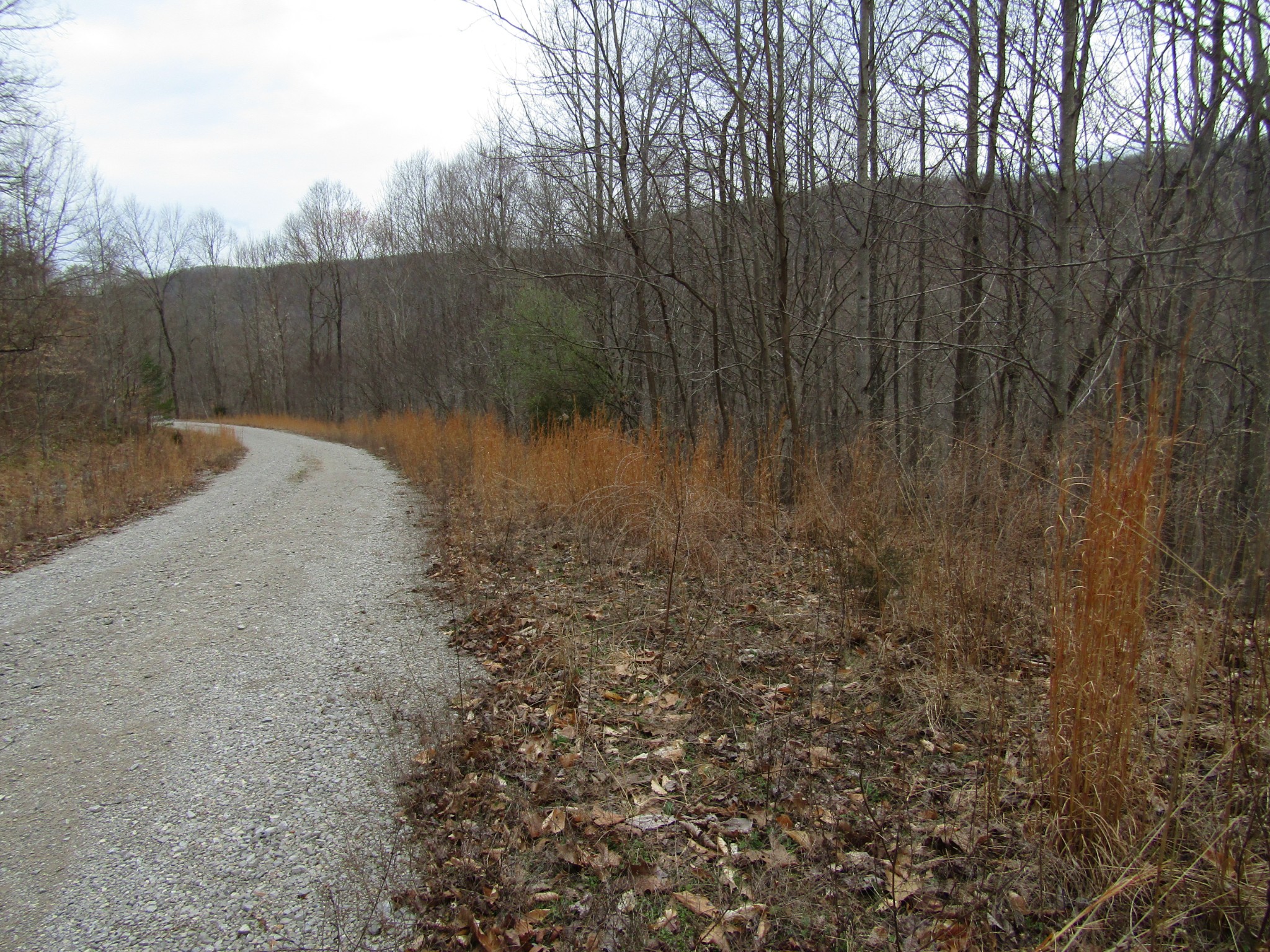 0 Bobcat Lane Property Photo 14