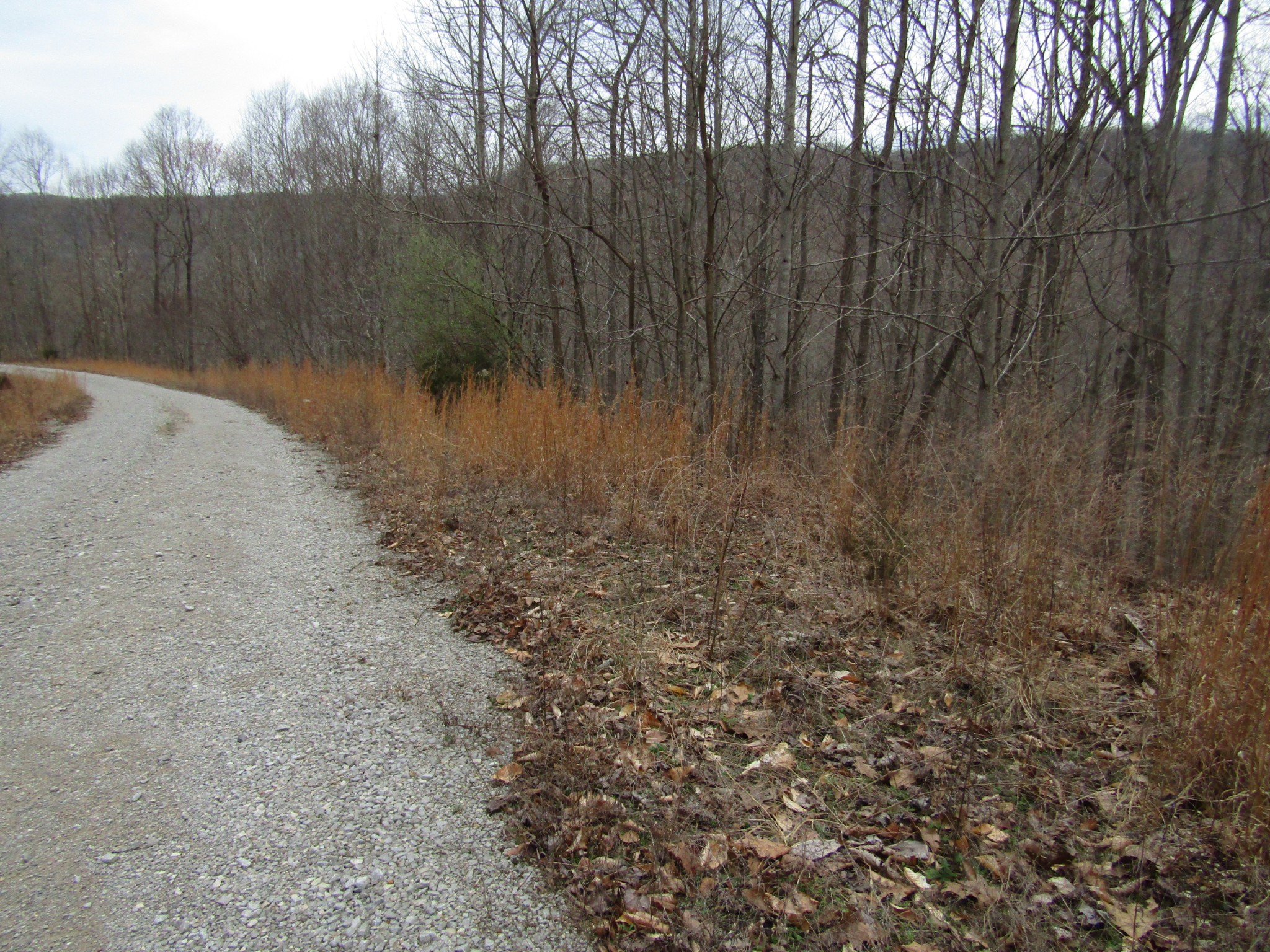 0 Bobcat Lane Property Photo 15