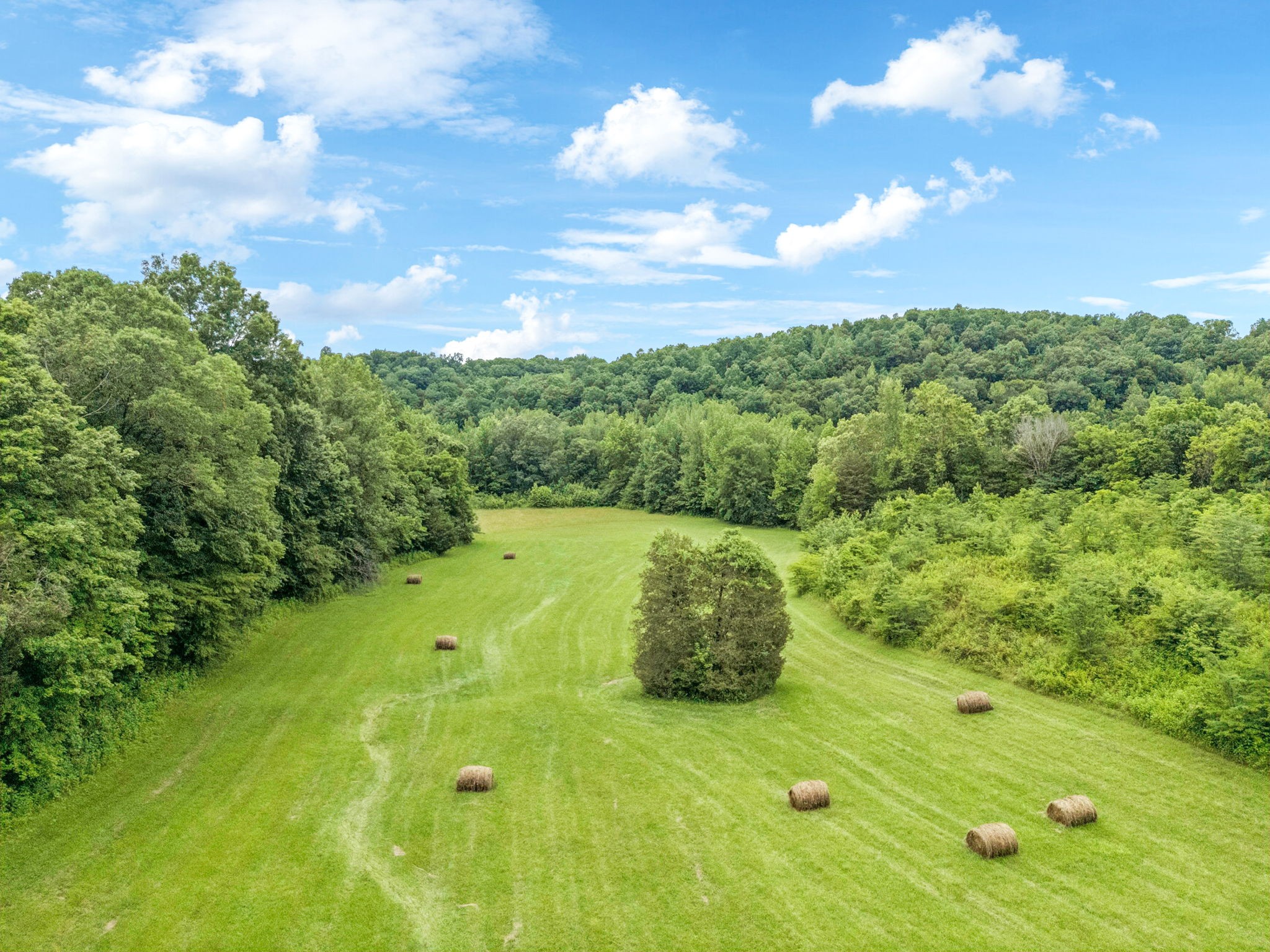 5898 Highway 100, W Property Photo 5