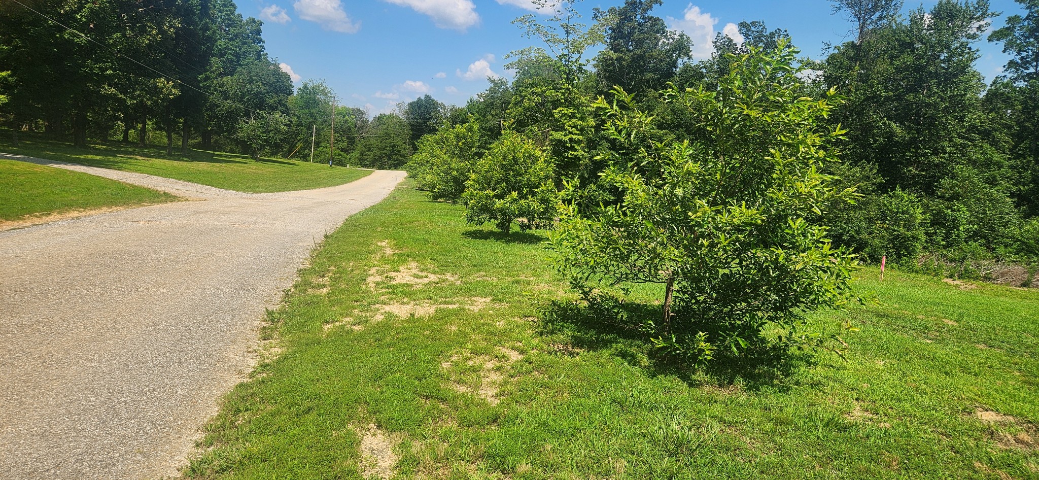 0 Sanders Rd Property Photo 2