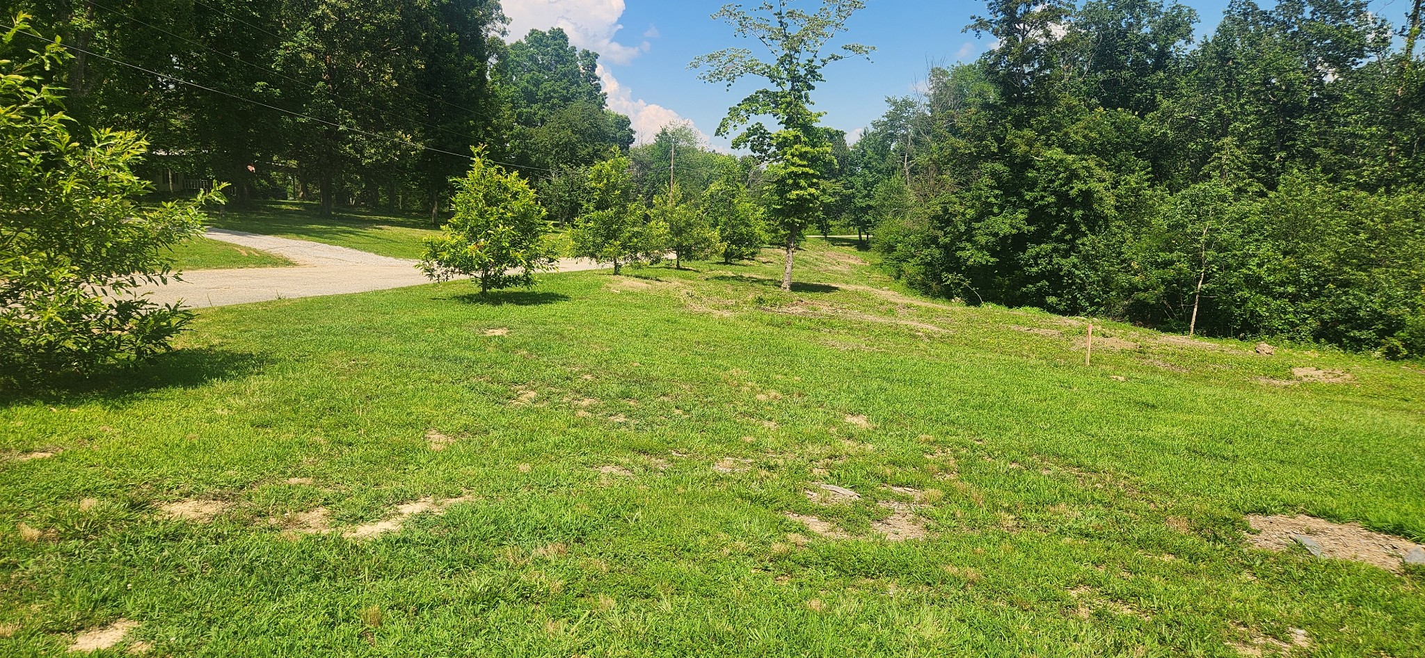 0 Sanders Rd Property Photo 4