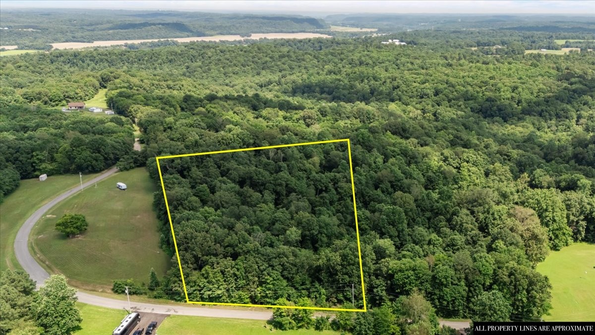 0 Hunley Branch Rd Property Photo 1