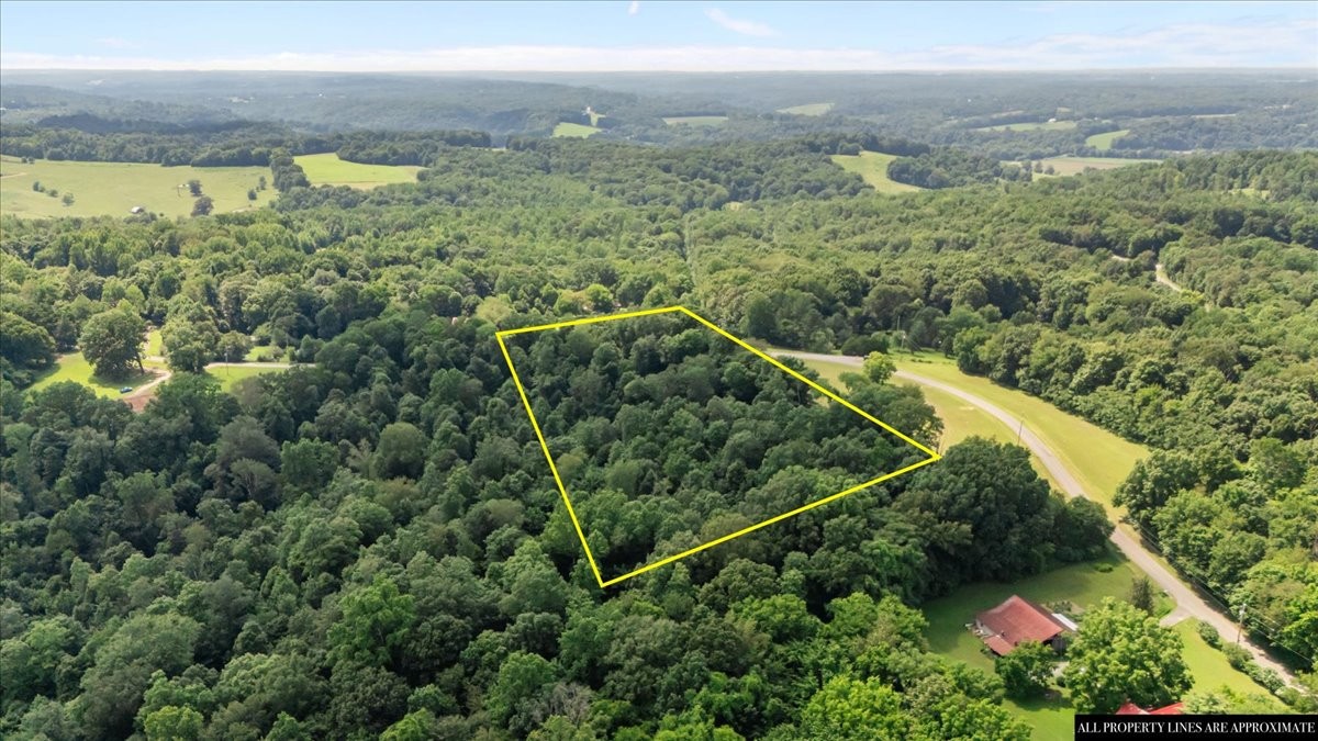 0 Hunley Branch Rd Property Photo 8